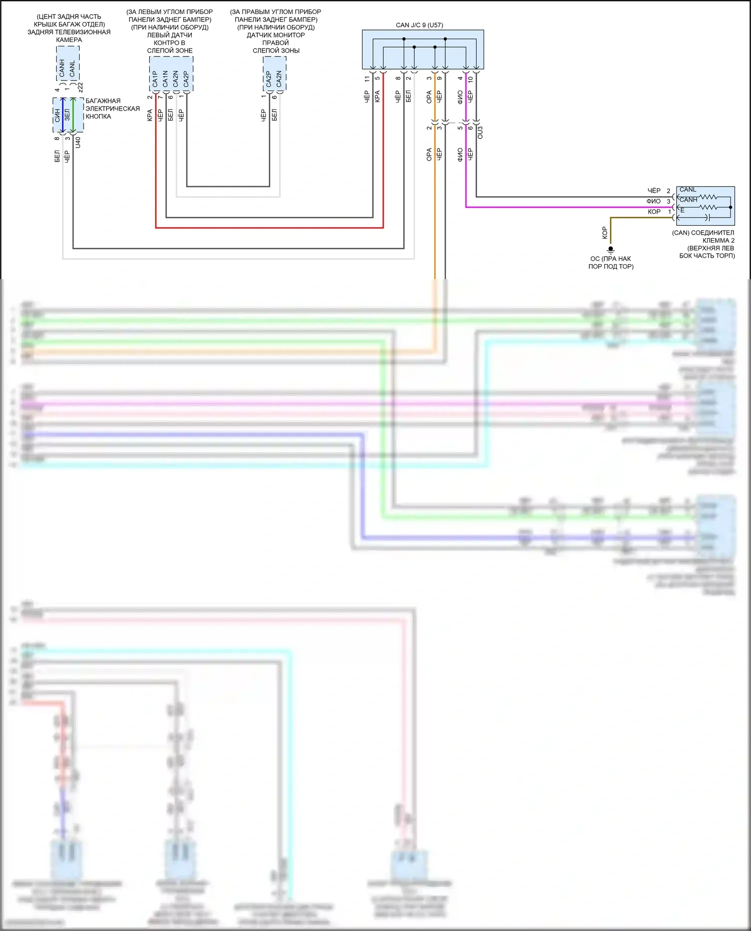 RC Lexus I рестайлинг (2018-2024): Can шина электросхема (4 из 4) 
