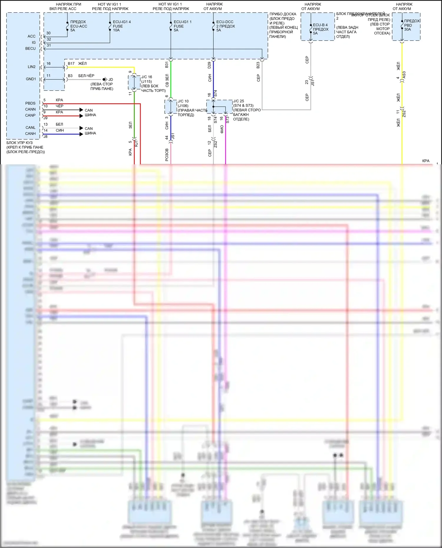 RX Lexus IV рестайлинг (2019-2023): Электросхема электромеханического замка задней двери (1 из 2) 