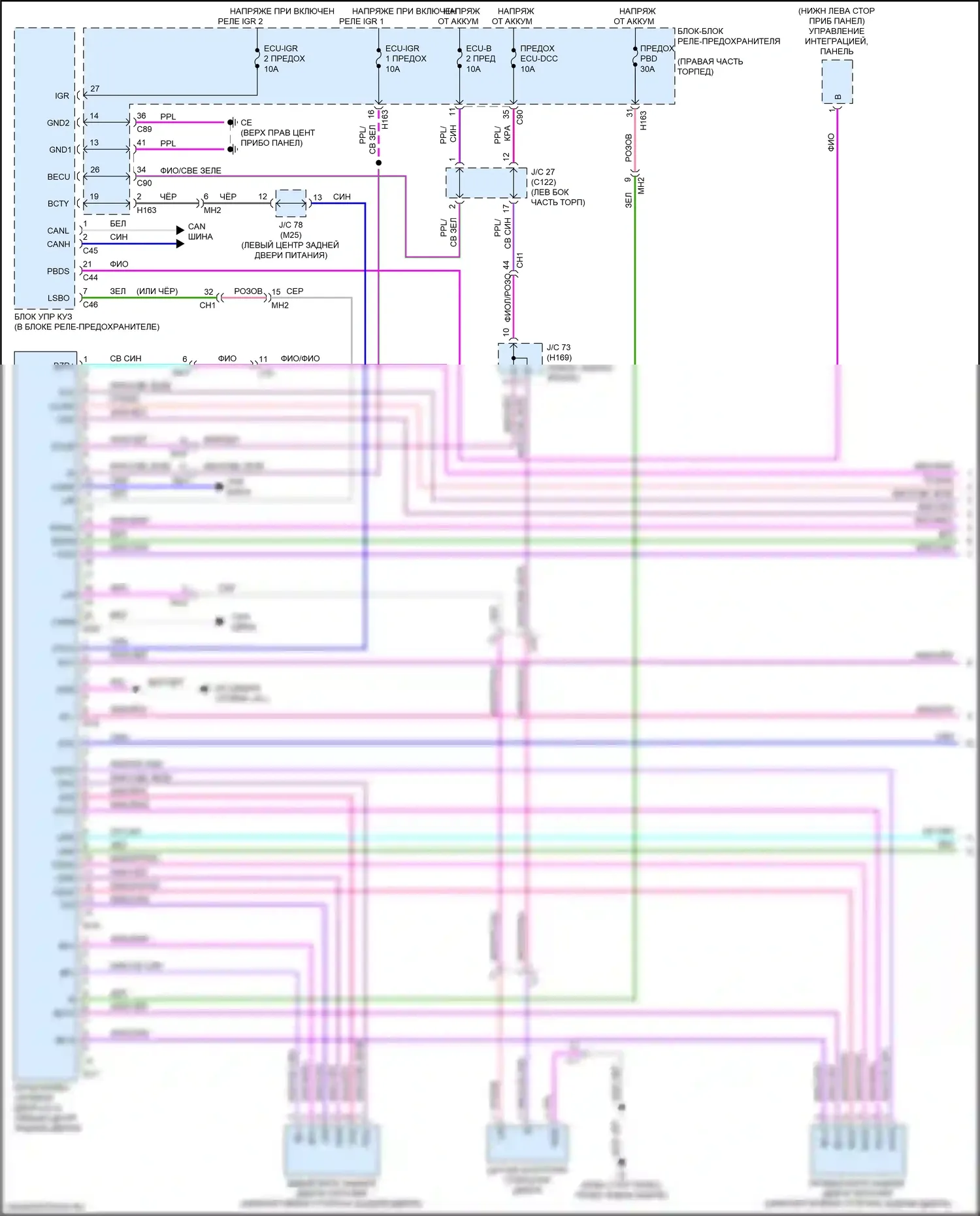 RX Lexus V (2022-2024): Электросхема электромеханического замка задней двери (1 из 2) 