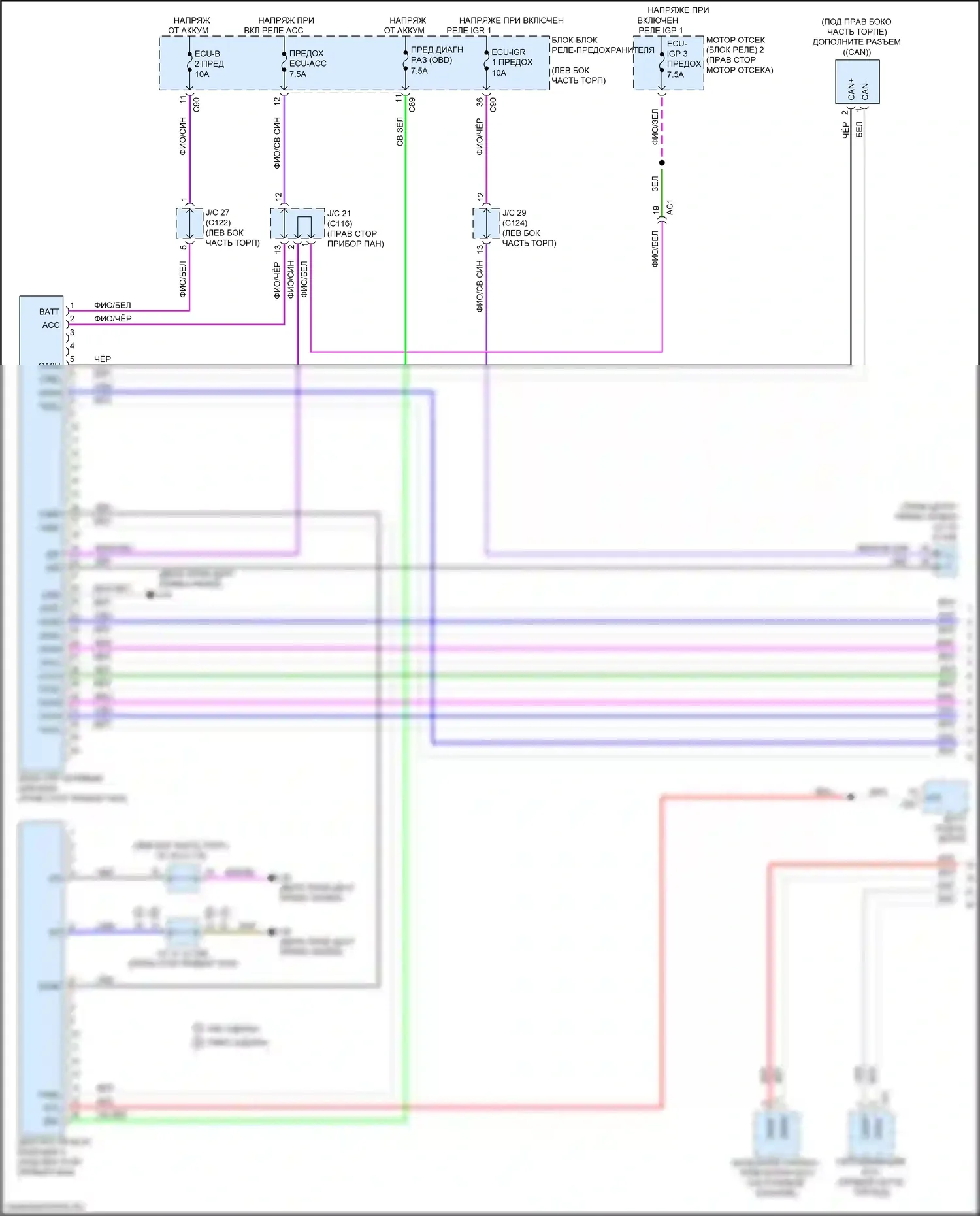 RX Lexus V (2022-2024): Can шина электросхема (1 из 8) 