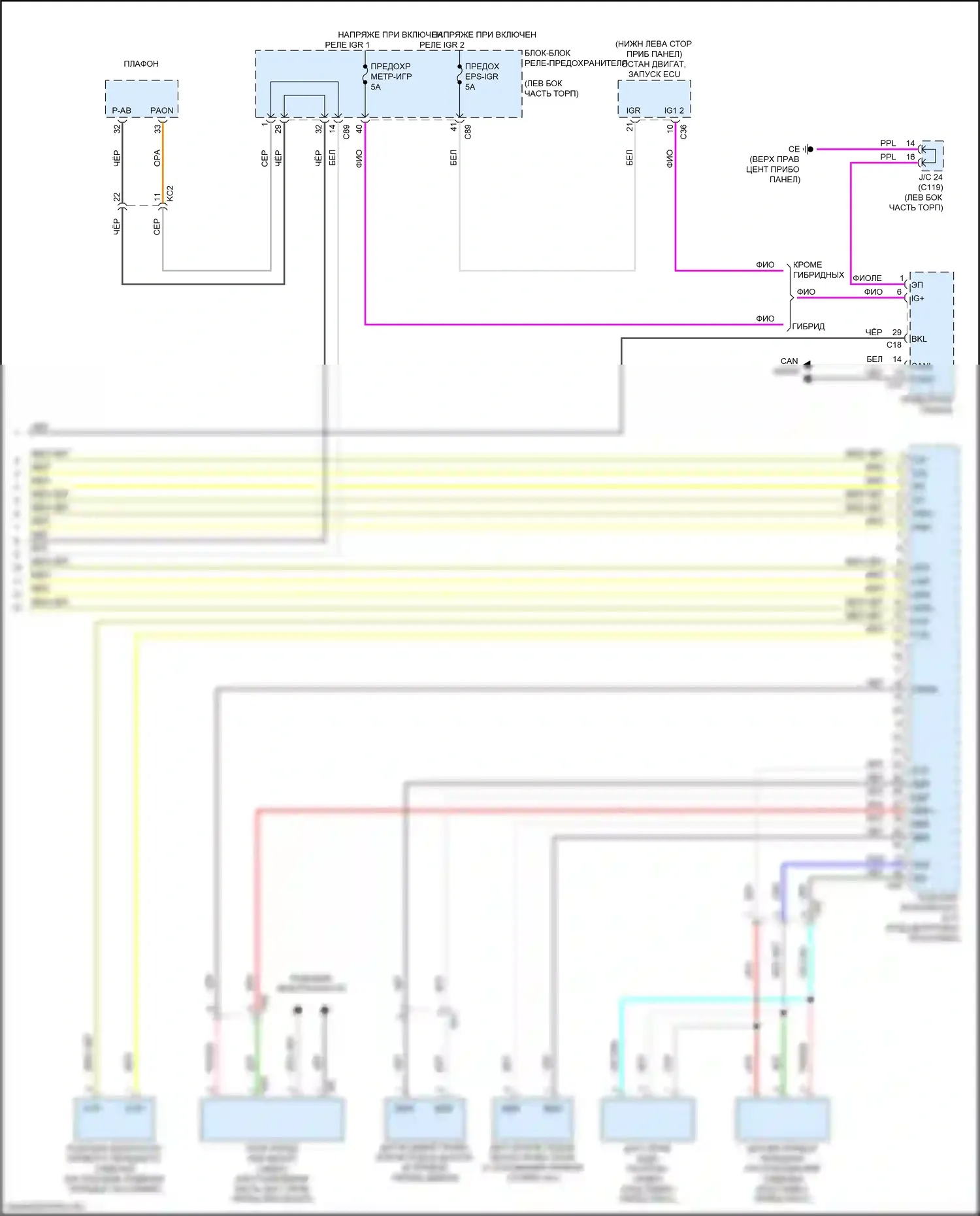 RX Lexus V (2022-2024): Электросхема подушек безопасности (4 из 4) 