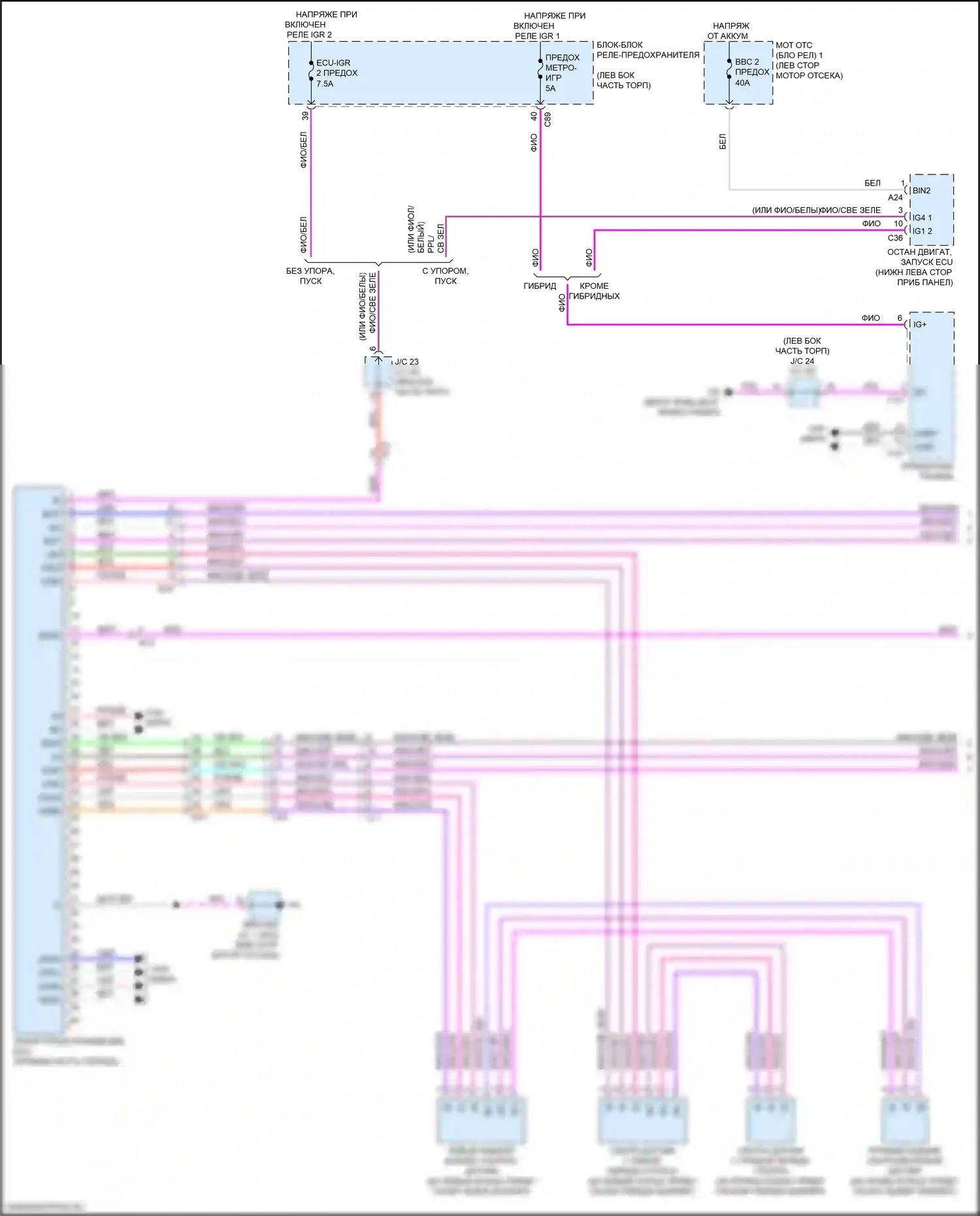 RX Lexus V (2022-2024): Электросхема заднего гидролокатора (1 из 2) 