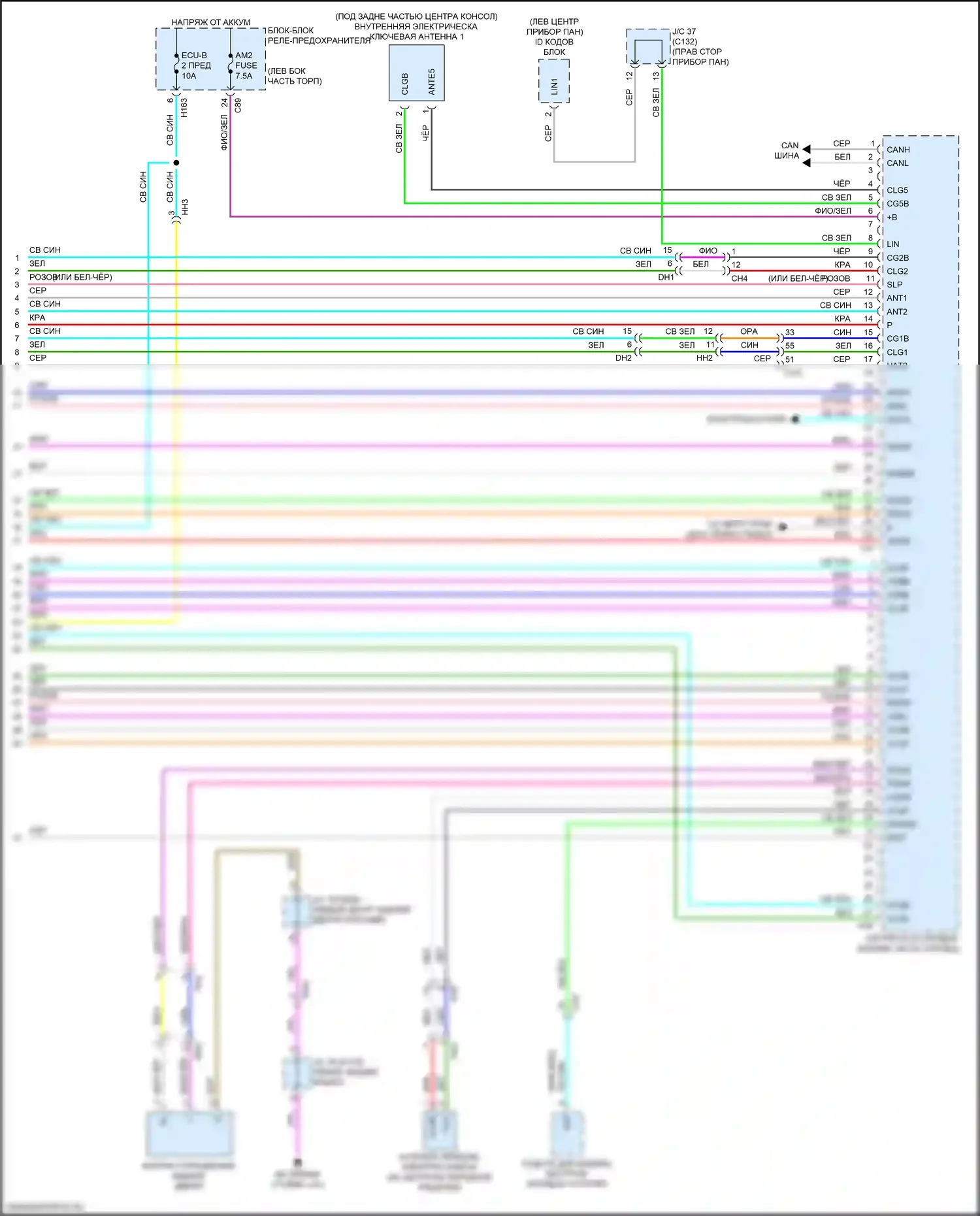 RX Lexus V (2022-2024): Электросхема центрального замка (8 из 8) 