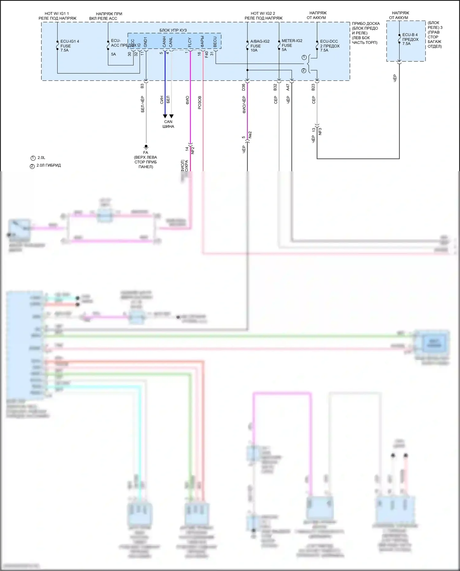 UX Lexus I (2018-2024): Электросхема предупредительного ремня безопасности (1 из 2) 