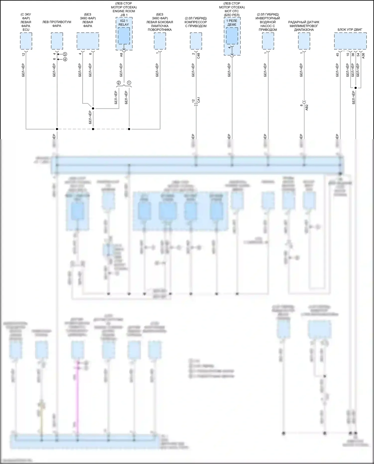 UX Lexus I (2018-2024): Электросхема разводки массы (1 из 6) 