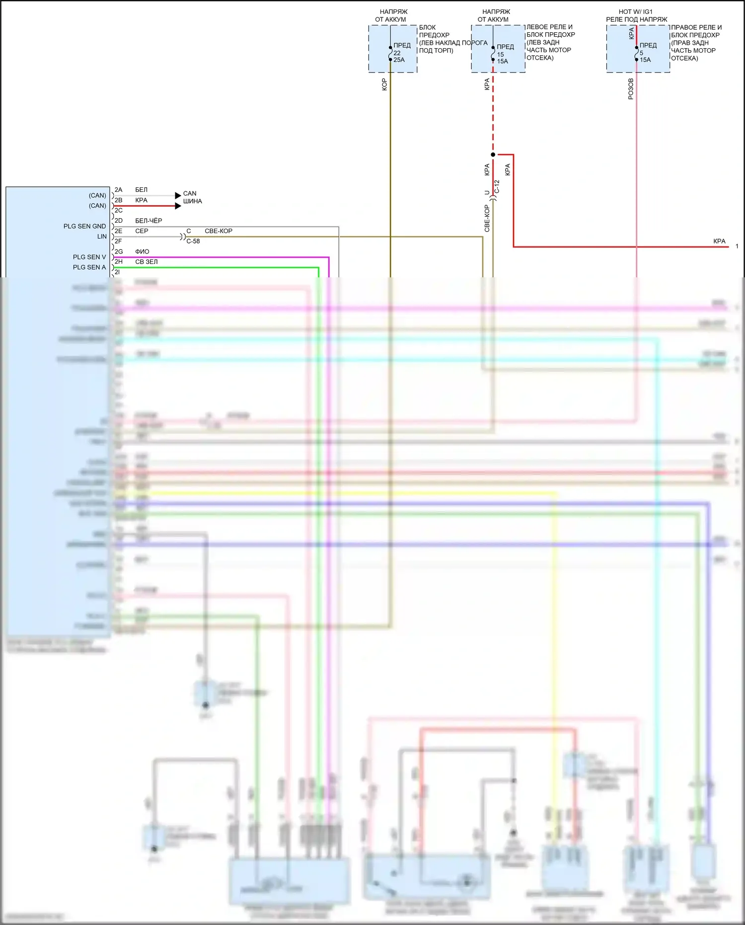 CX-90 Mazda I (2023-2024): Электросхема силовой двери багажника (1 из 2) 