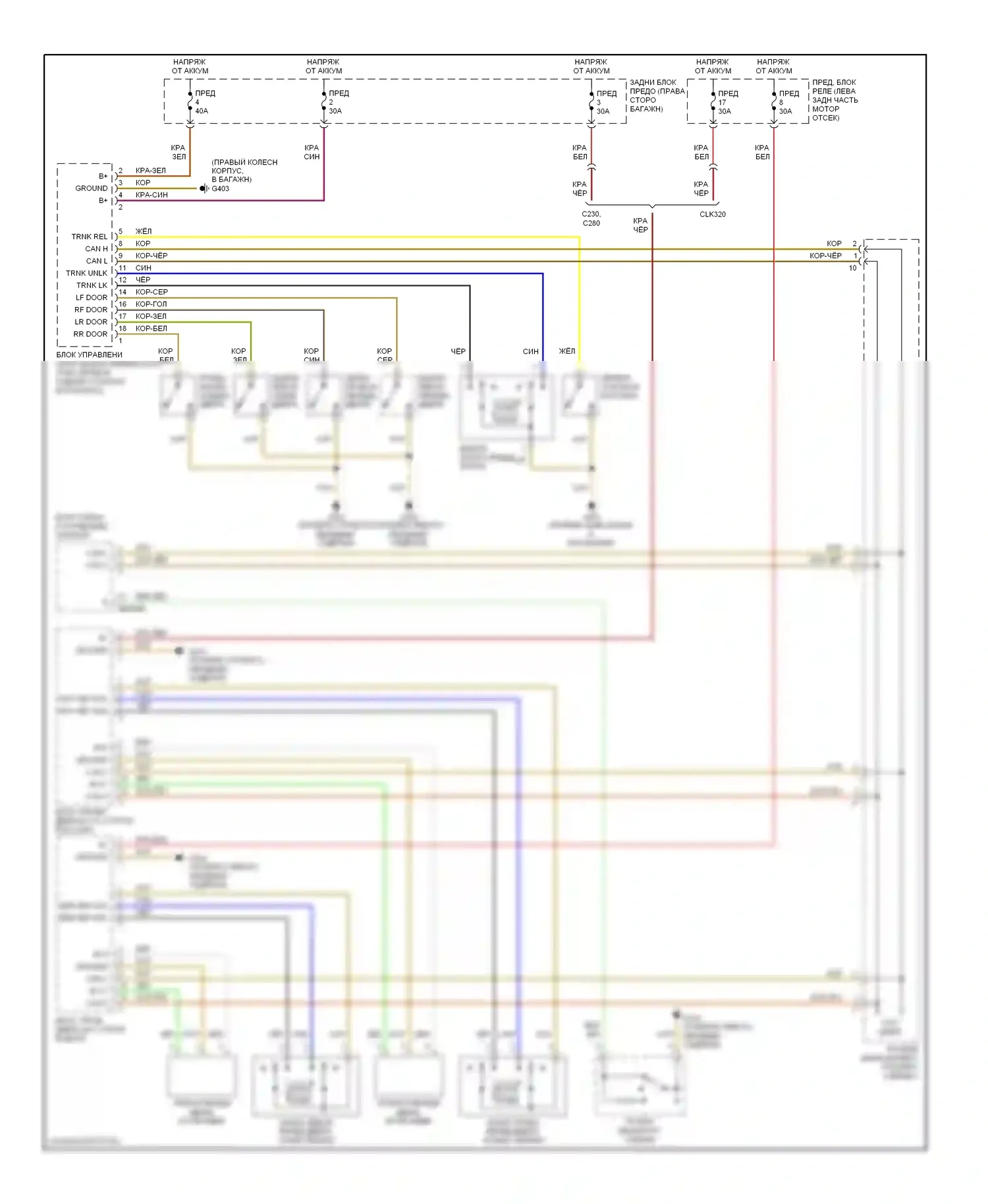 C-класс AMG Mercedes-Benz W202 рестайлинг (1997-2000): Электросхема замка силовой двери 