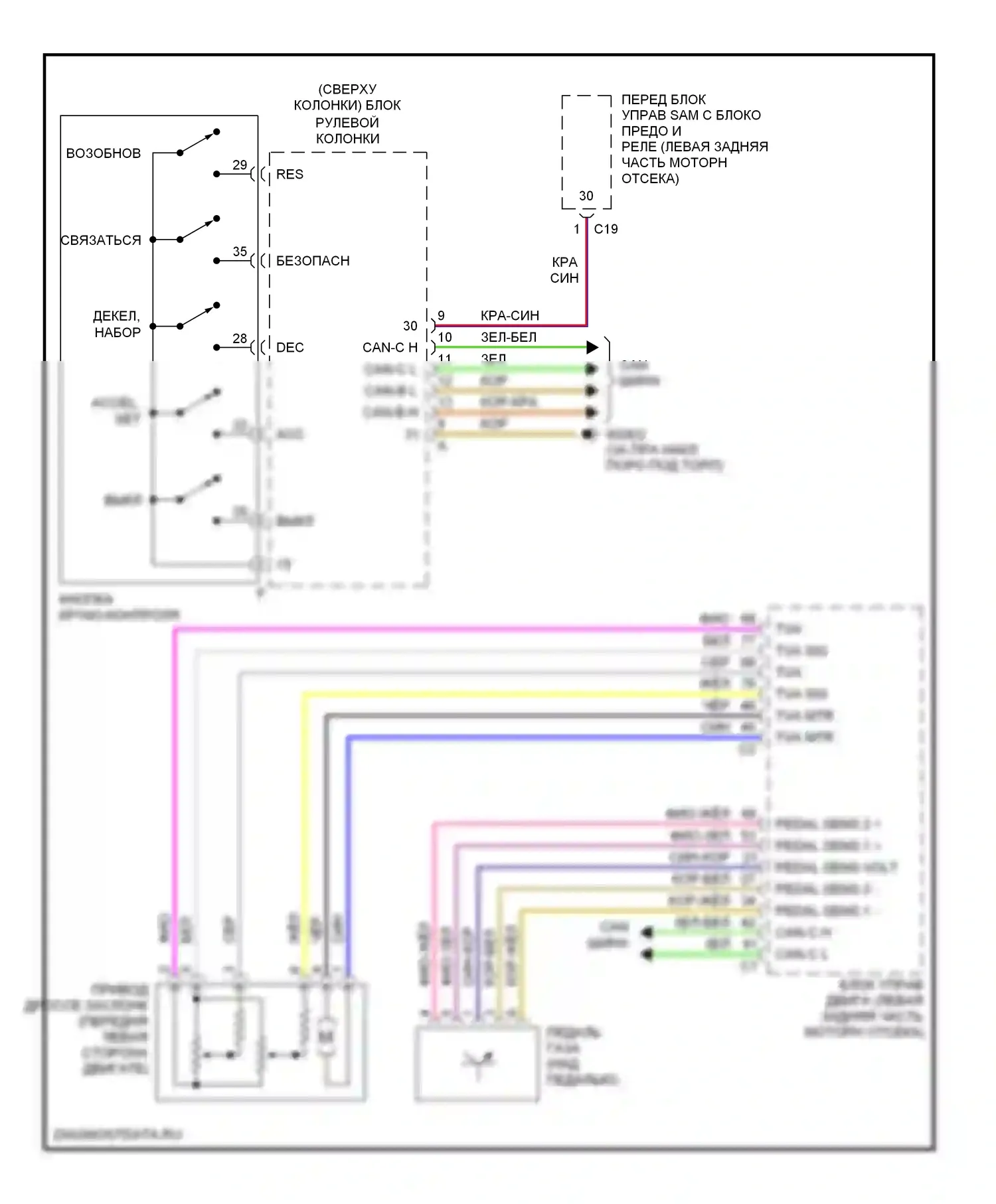C-класс AMG Mercedes-Benz W203/S203/CL203 рестайлинг (2004-2007): Электросхема круиз-контроля 