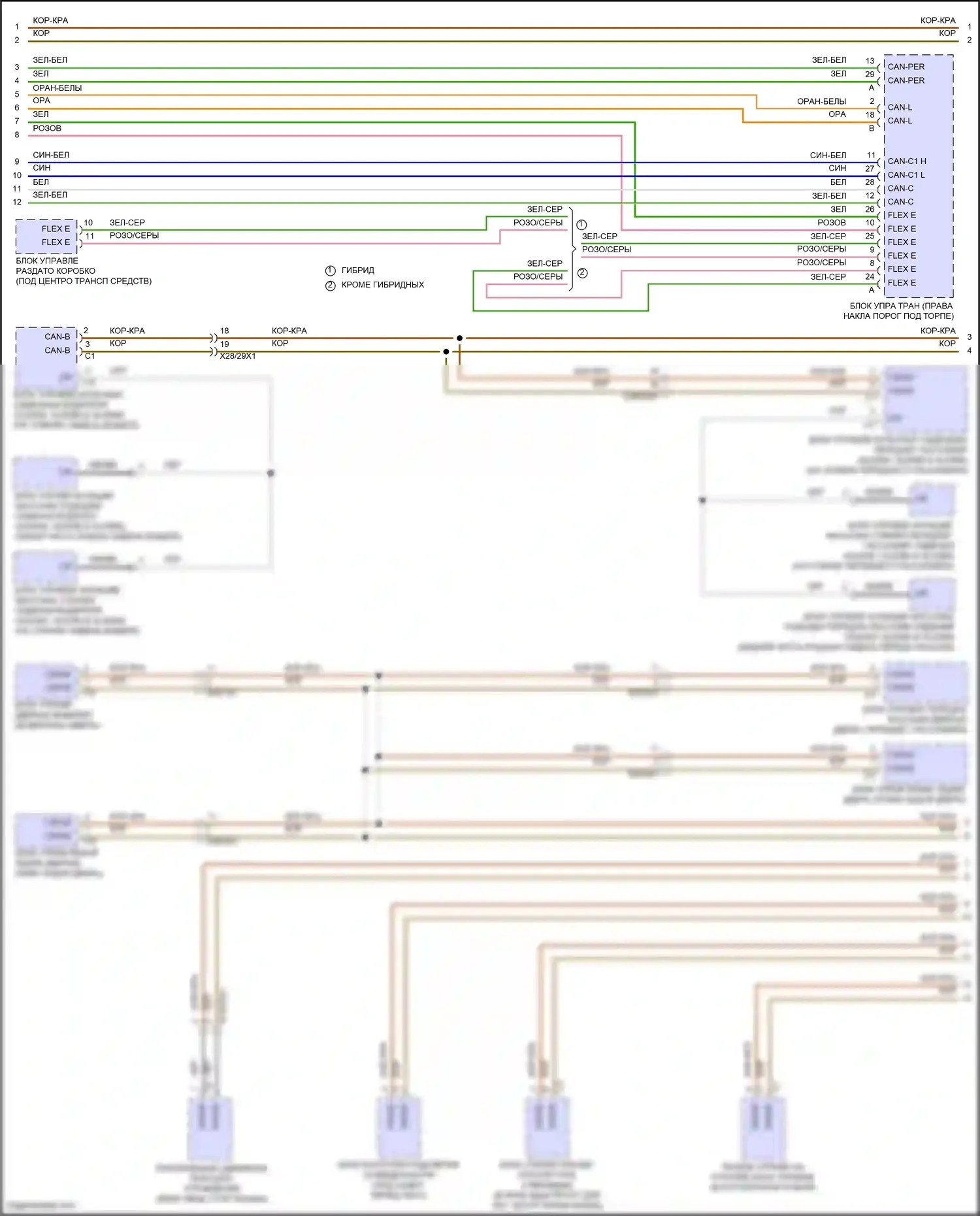 GLS-класс Mercedes-Benz X167 рестайлинг (2023-2024): Электросхема шины высокого/низкого уровня (7 из 8) 