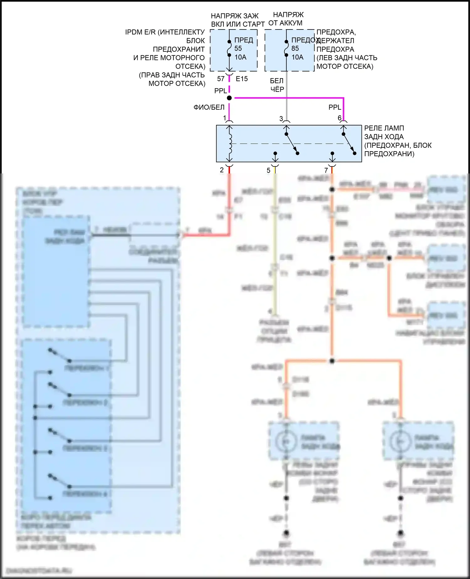 Armada Nissan II (2016-2020): Электросхема фонарей заднего хода 