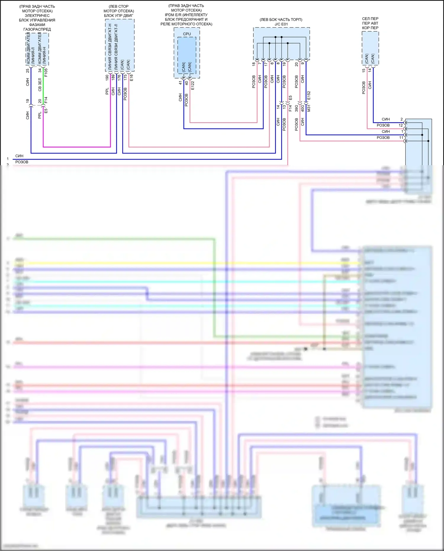 Frontier Nissan D41 (2021-2024): Can шина электросхема (4 из 4) 