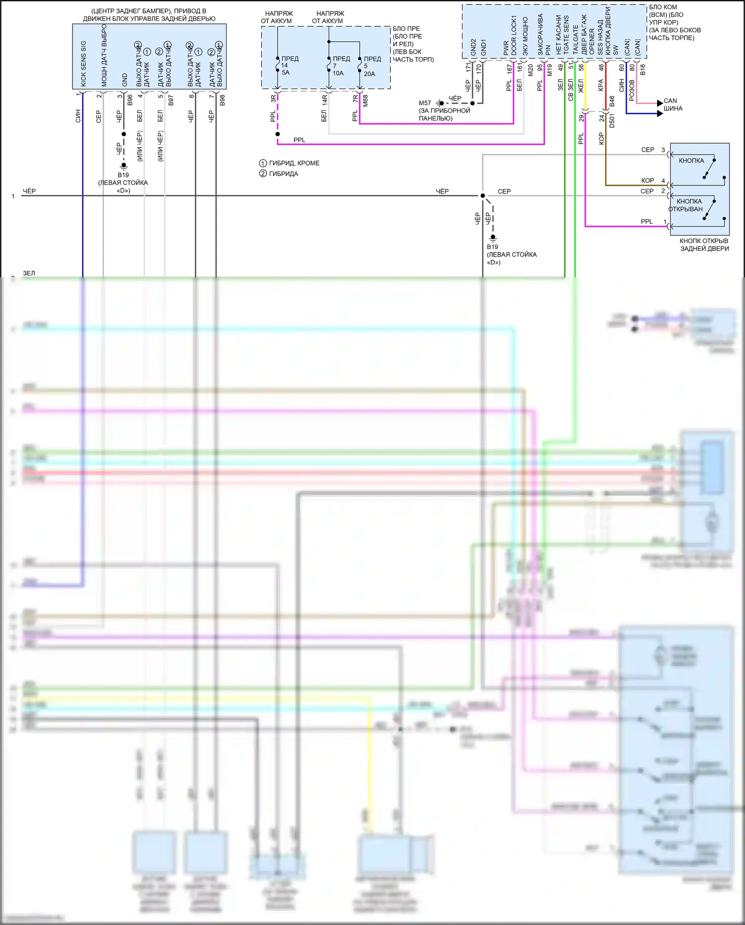 Rogue Nissan II рестайлинг (2016-2020): Электросхема устройства открывания задней двери, с автоматической системой задней двери (2 из 2) 