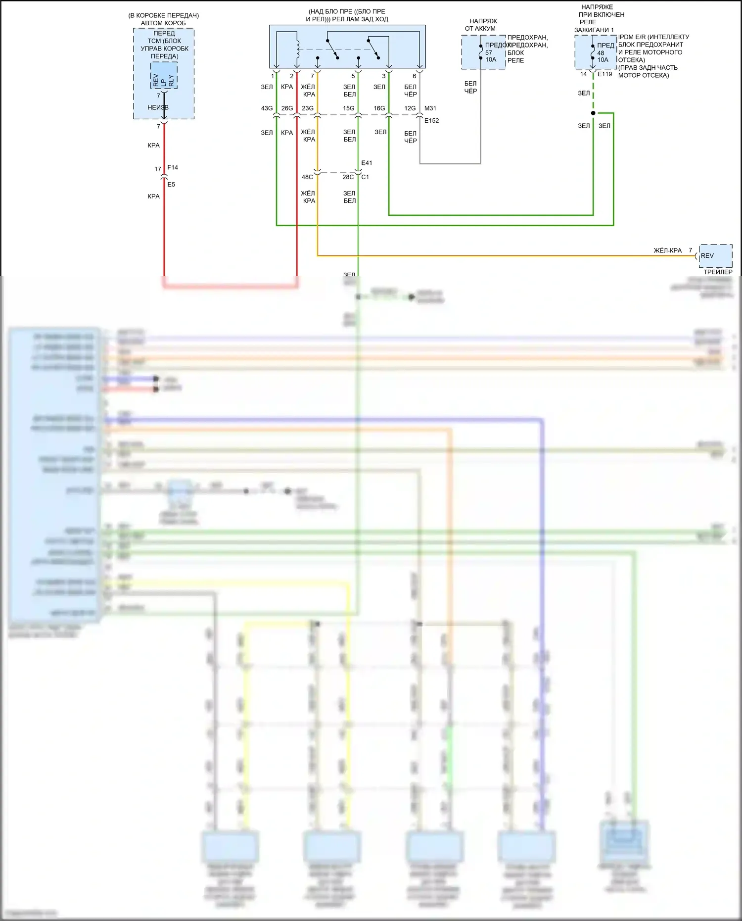 Titan Nissan II (2015-2019): Электросхема гидролокатора (1 из 2) 