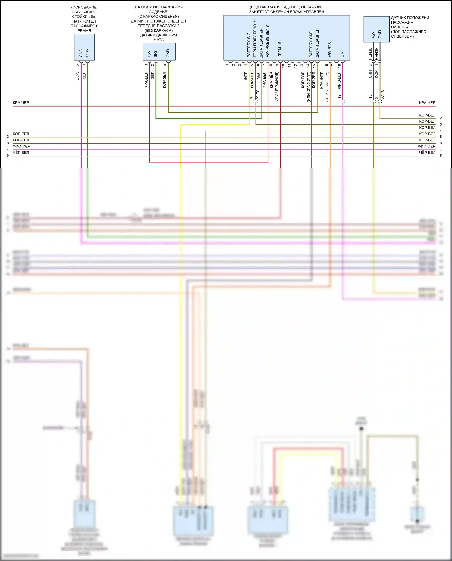 911 Carrera 4 Porsche 992 (2018-2024): Электросхема подушек безопасности (2 из 3) 