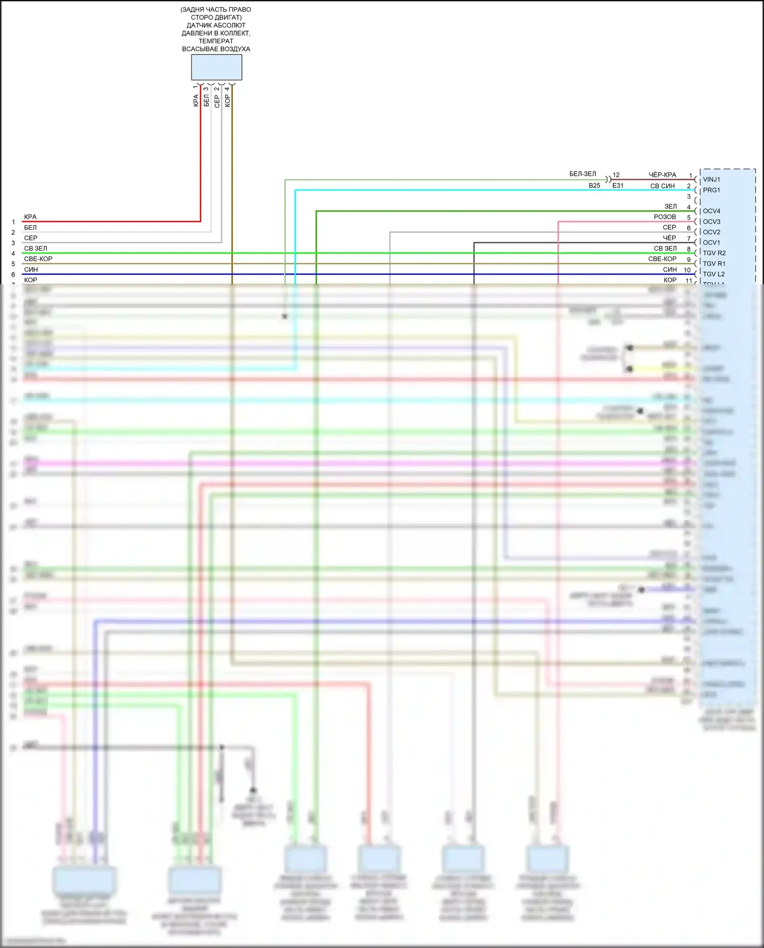 Legacy Subaru BW (2019-2024): Электросхема двигателя 2,4л турбо (7 из 7) 