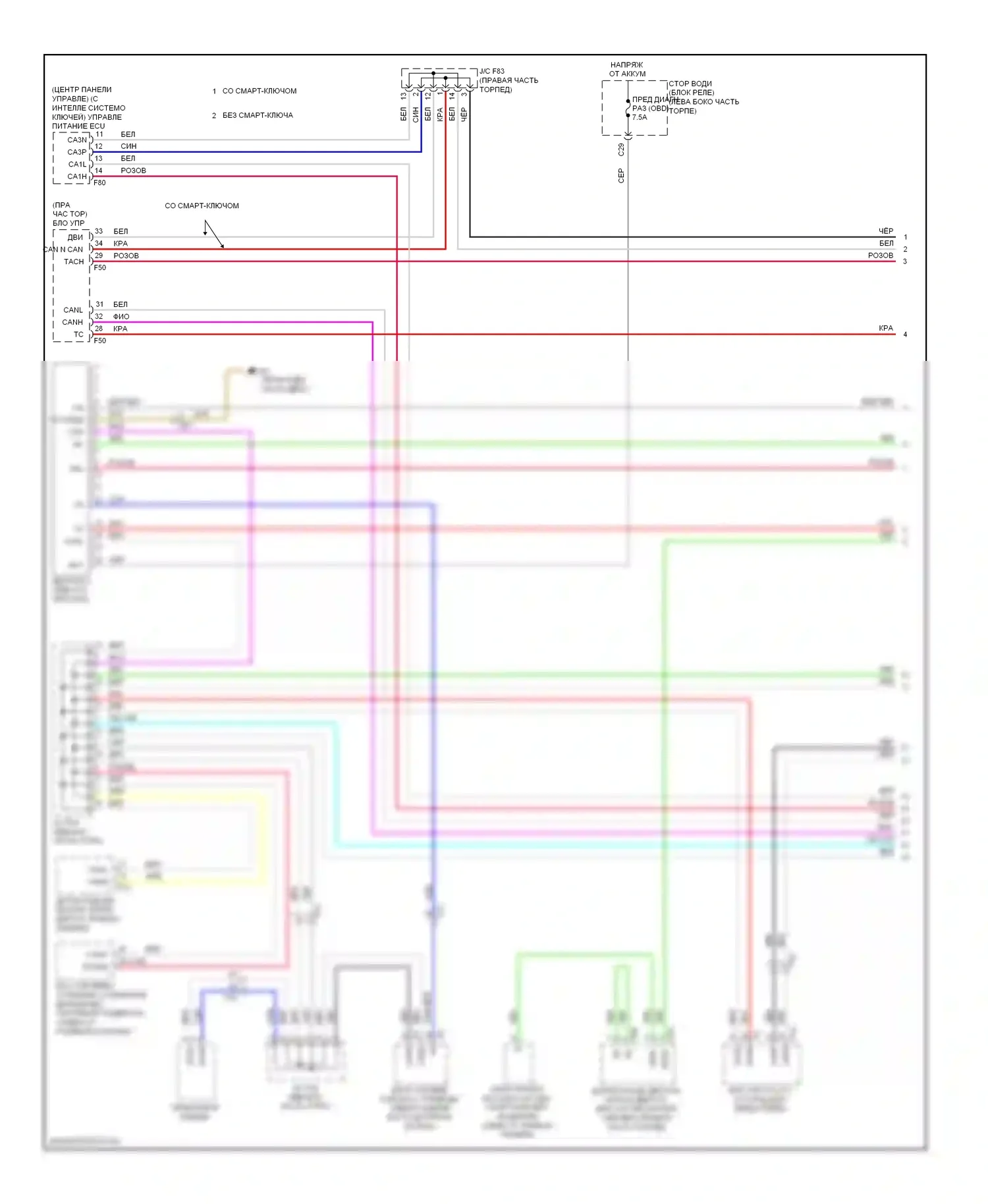 4Runner Toyota V (2009-2013): Can шина электросхема (1 из 2) 