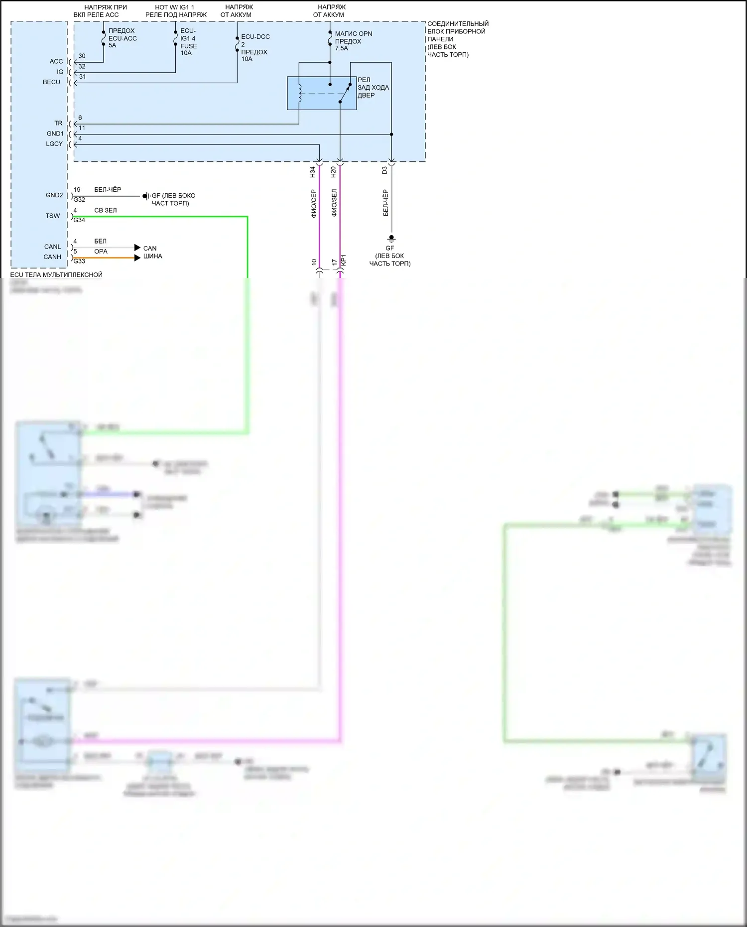 Avalon Toyota XX50 (2018-2024): Электросхема выпуска двери багажника 