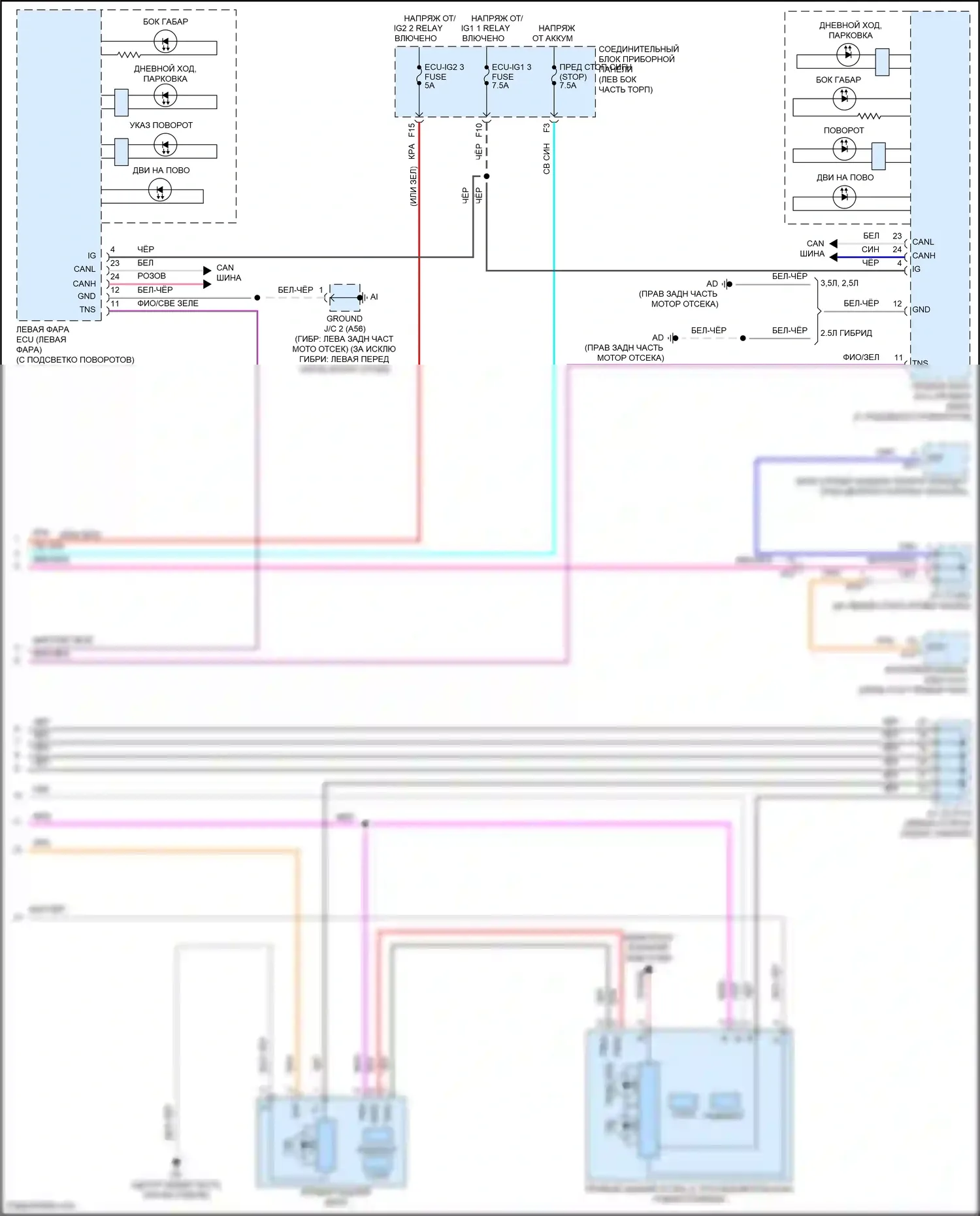 Avalon Toyota XX50 (2018-2024): Электросхема фар и фонарей (5 из 5) 