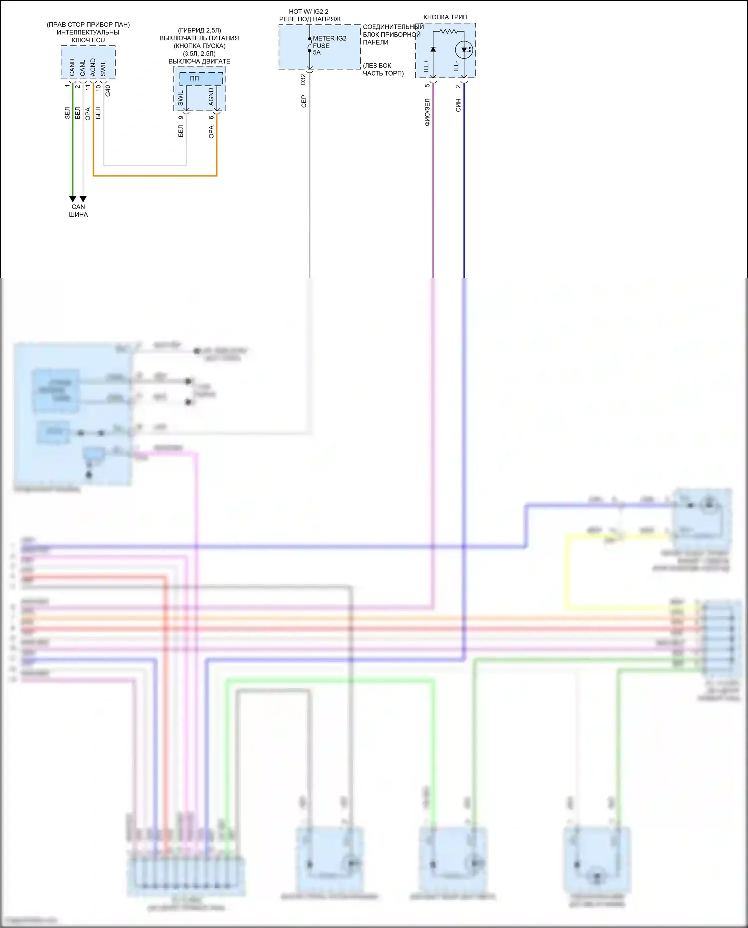 Avalon Toyota XX50 (2018-2024): Электросхема подсветки приборной панели (4 из 4) 