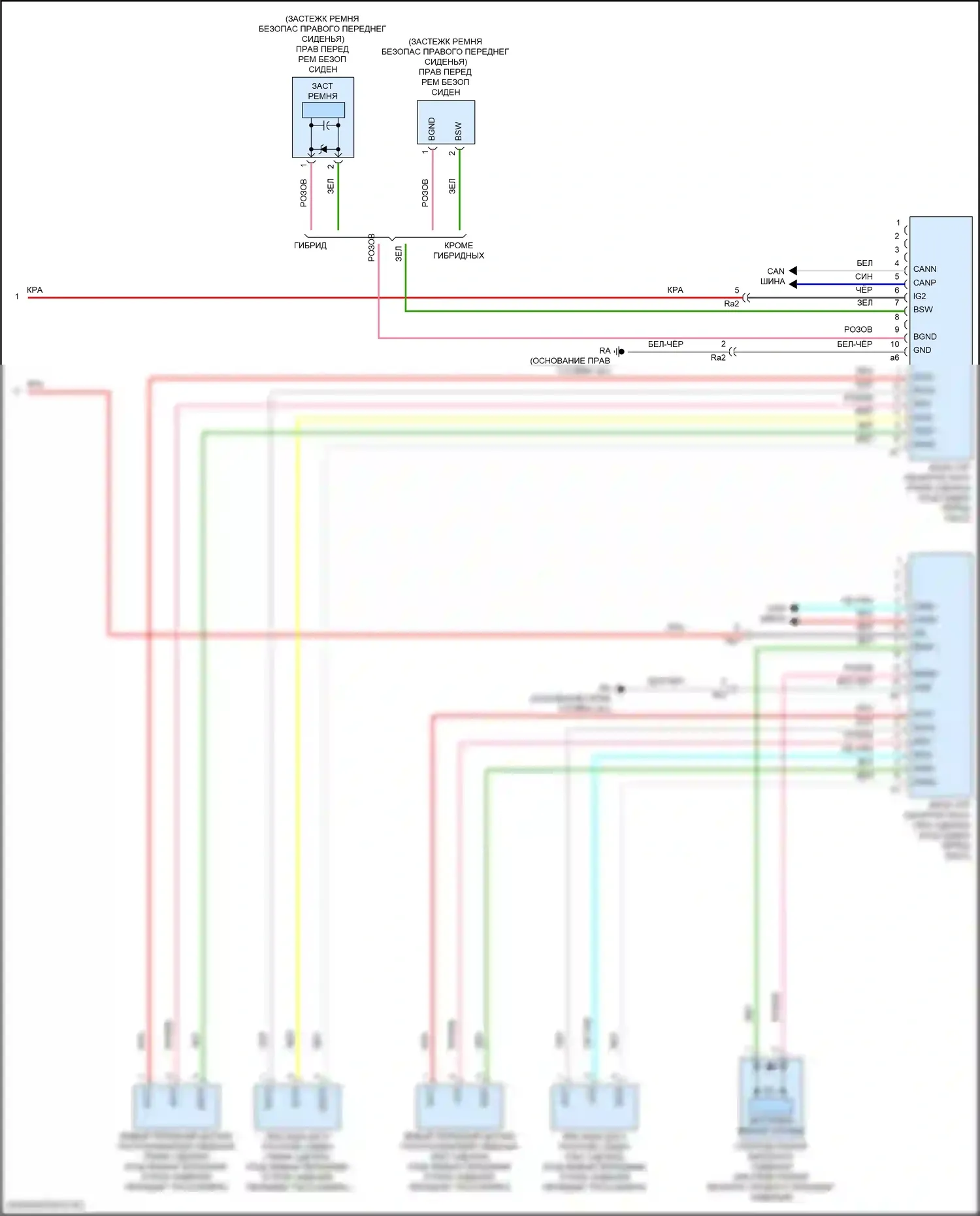 Camry US Market Toyota XV70 (2017-2020): Электросхема подушек безопасности (4 из 4) 