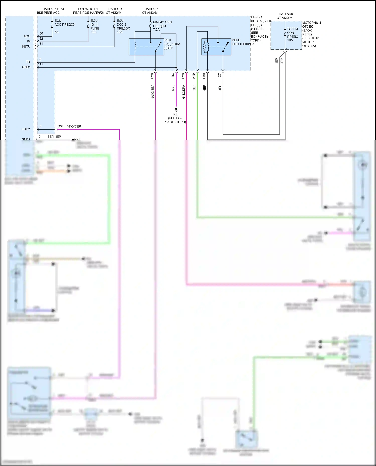 Camry Toyota XV50 рестайлинг 2 (2017-2018): Электросхема открытия багажника и лючка топливного бака, кроме гибридной 