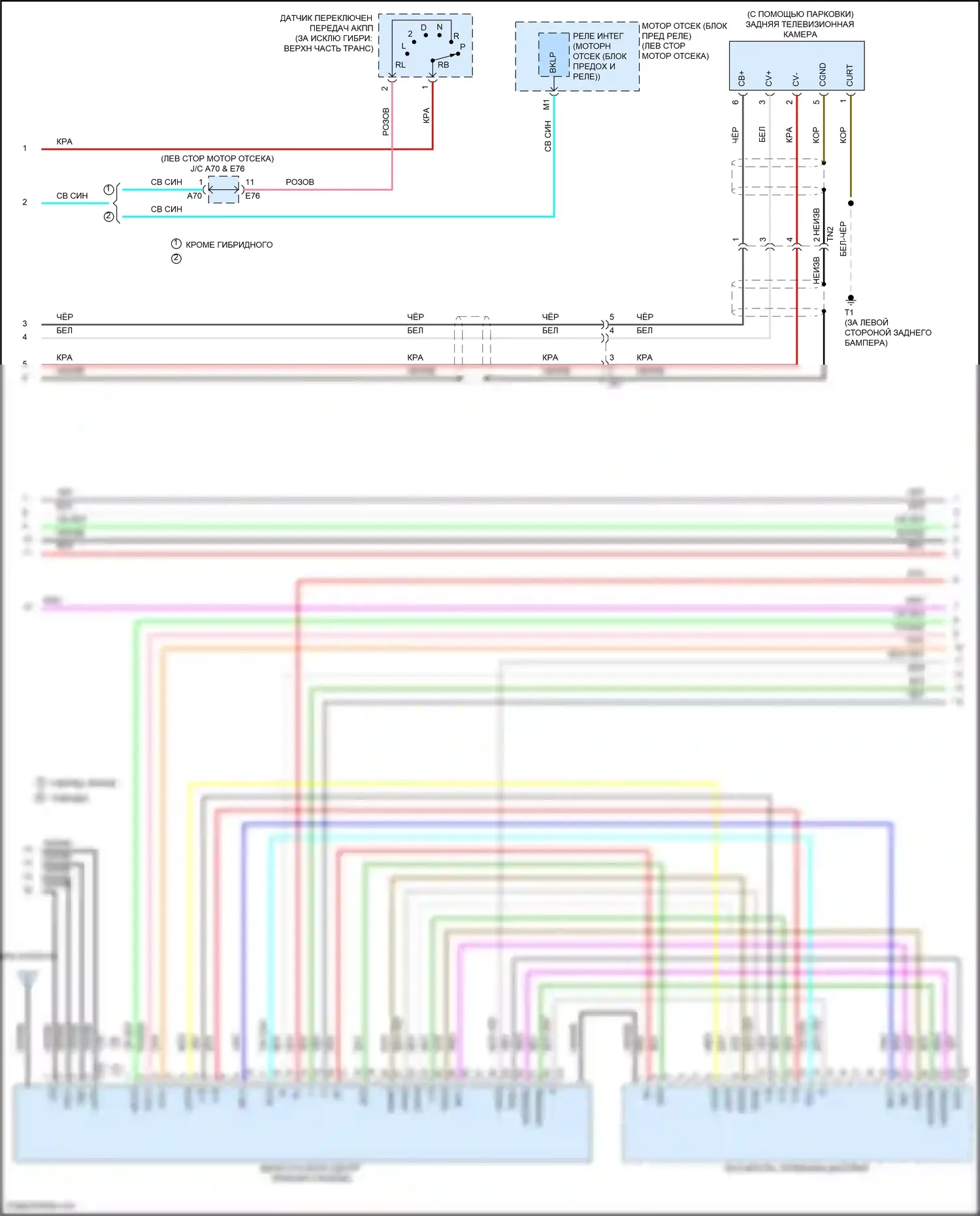 Camry Toyota XV50 (2011-2014): Электросхема системы с 6 динамиками, с дисплеем (2 из 4) 