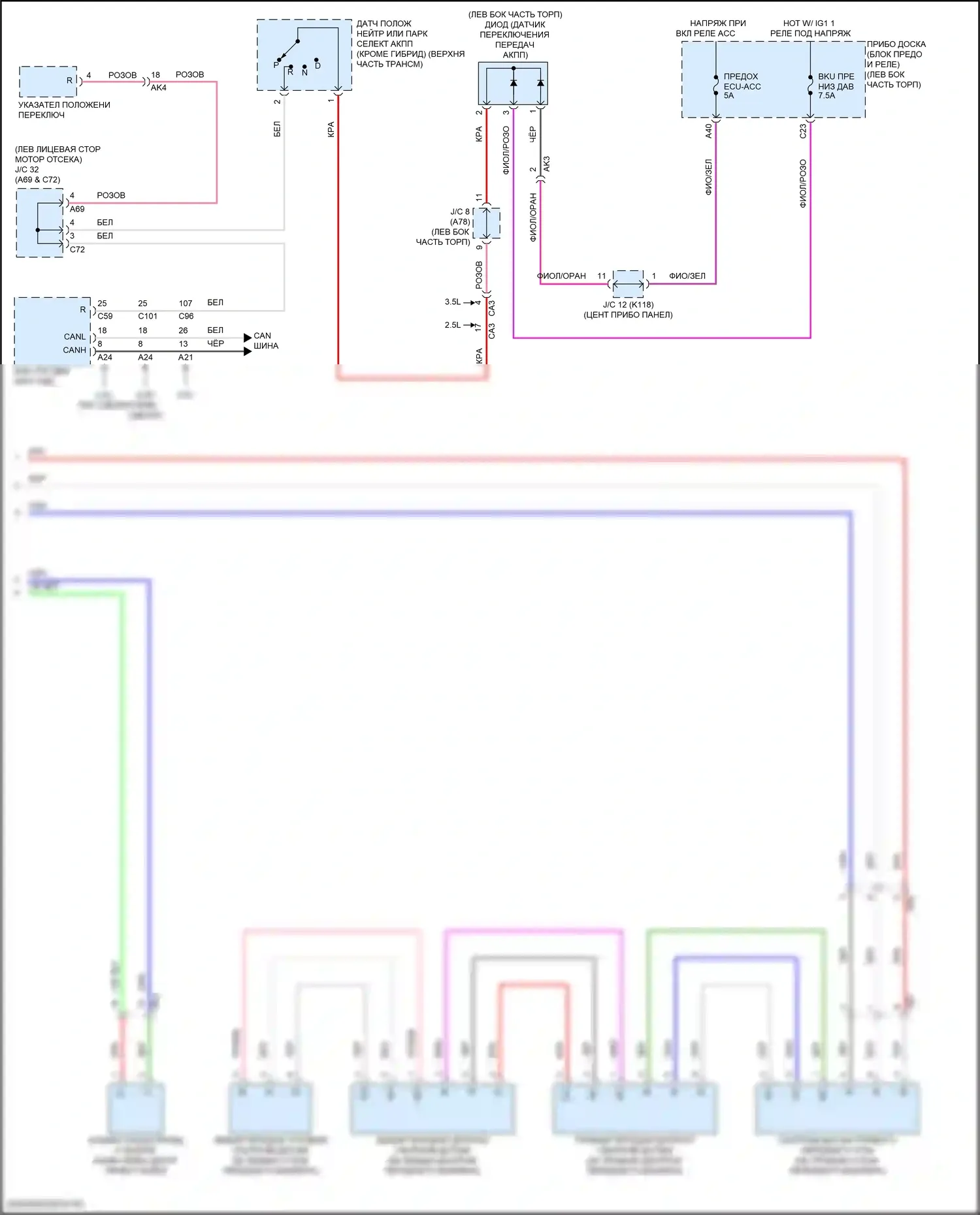 Camry Toyota XV70 рестайлинг (2020-2024): Электросхема заднего гидролокатора (2 из 2) 