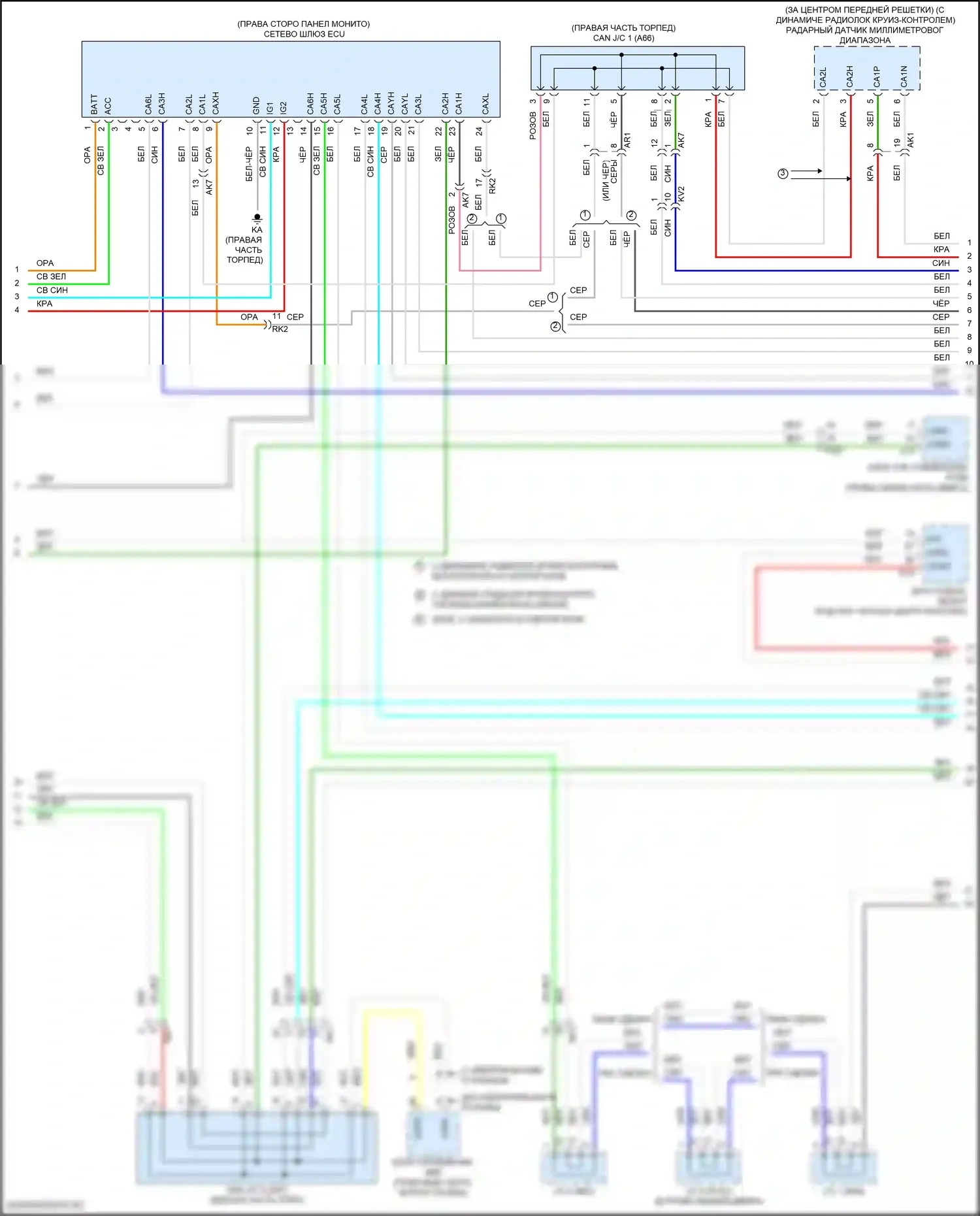 Camry Toyota XV70 (2017-2021): Can шина электросхема, за исключением гибридной (2 из 3) 