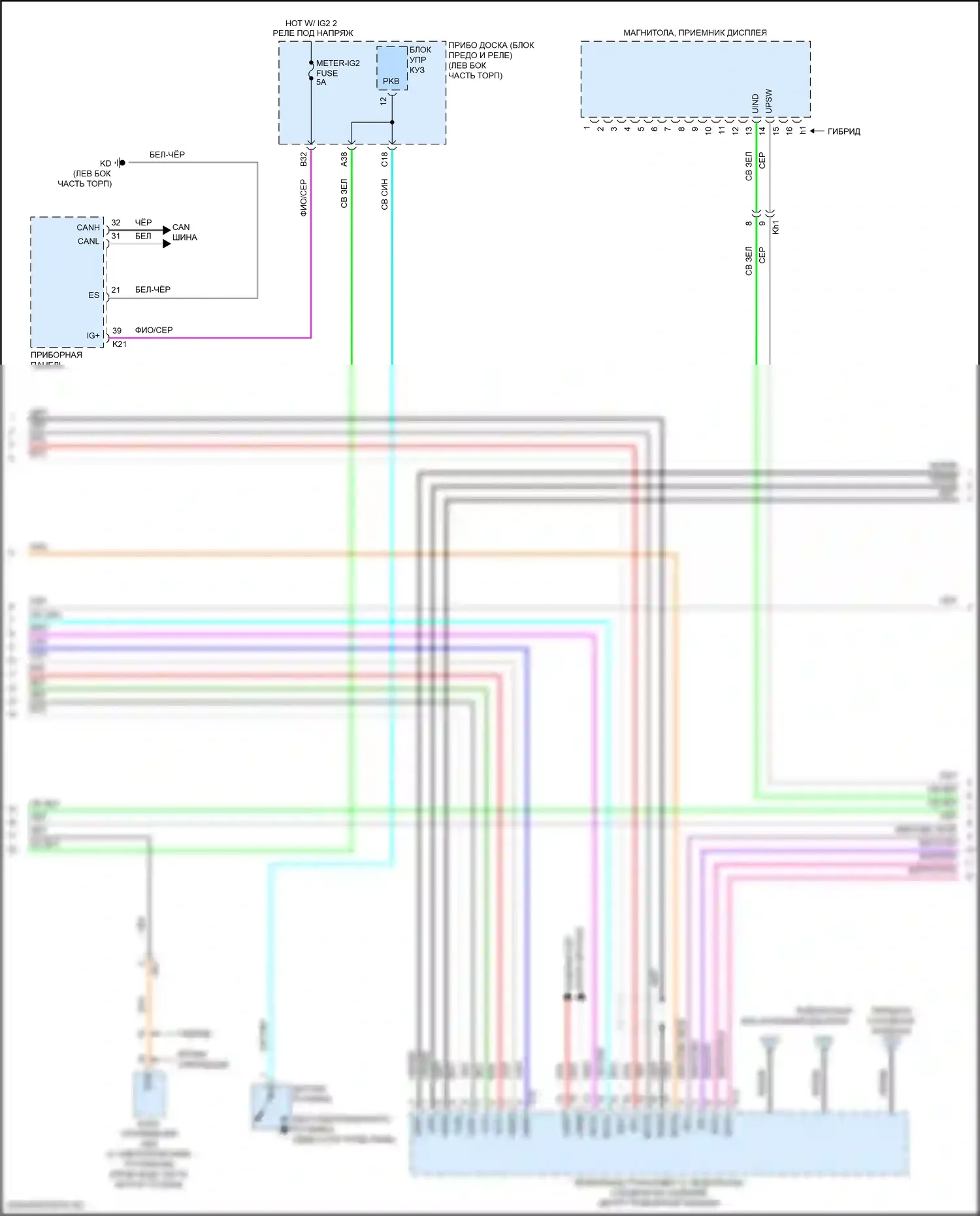 Camry Toyota XV70 (2017-2021): Электросхема магнитолы, со встроенным усилителем (3 из 5) 
