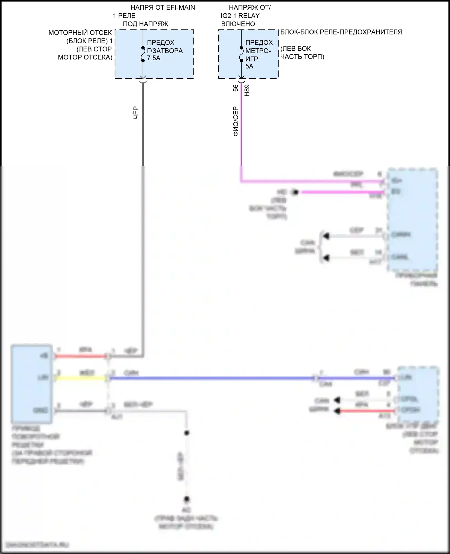 Camry Toyota XV80 (2024-2024): Электросхема створки решетки 