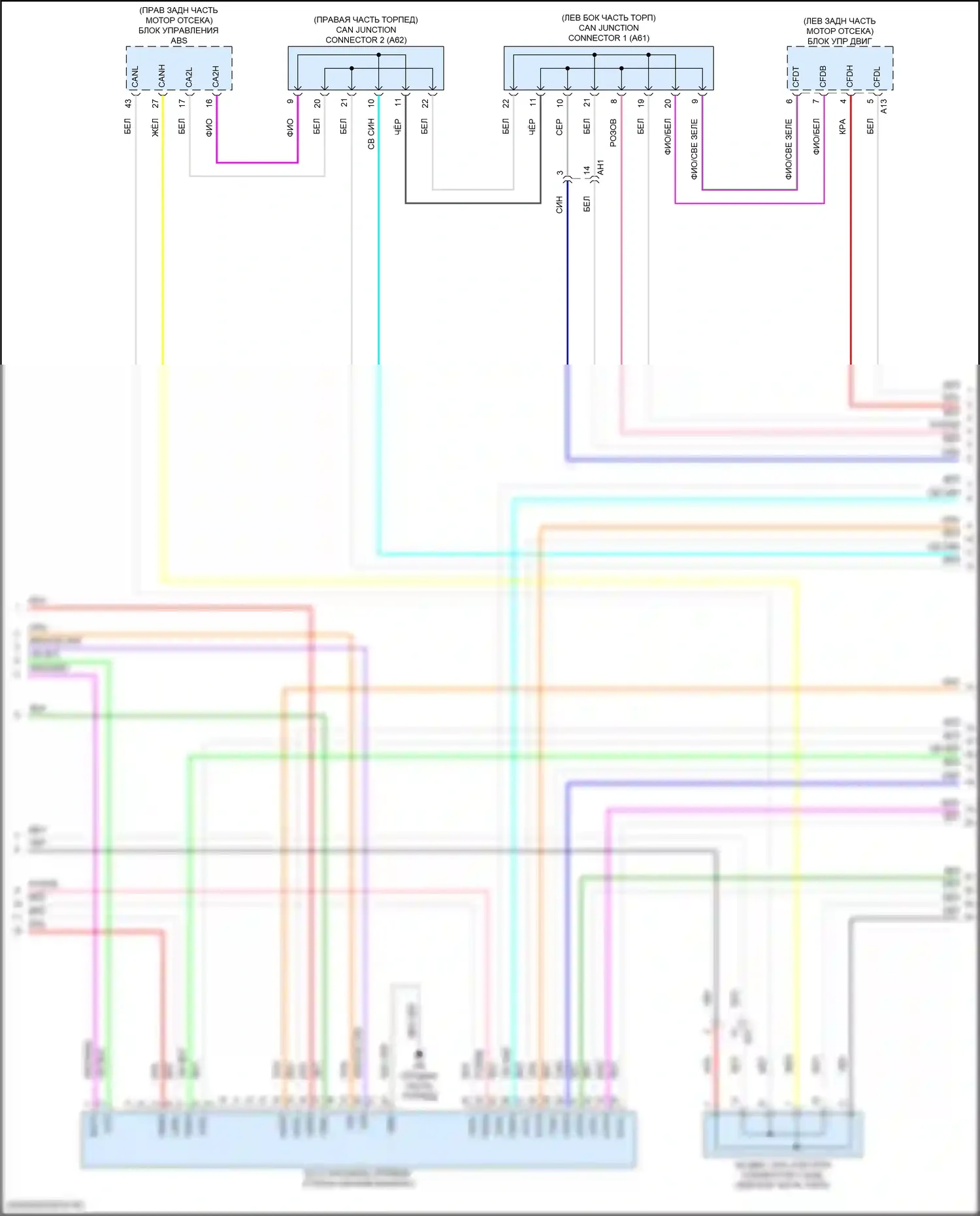 Camry Toyota XV80 (2024-2024): Can шина электросхема (2 из 7) 