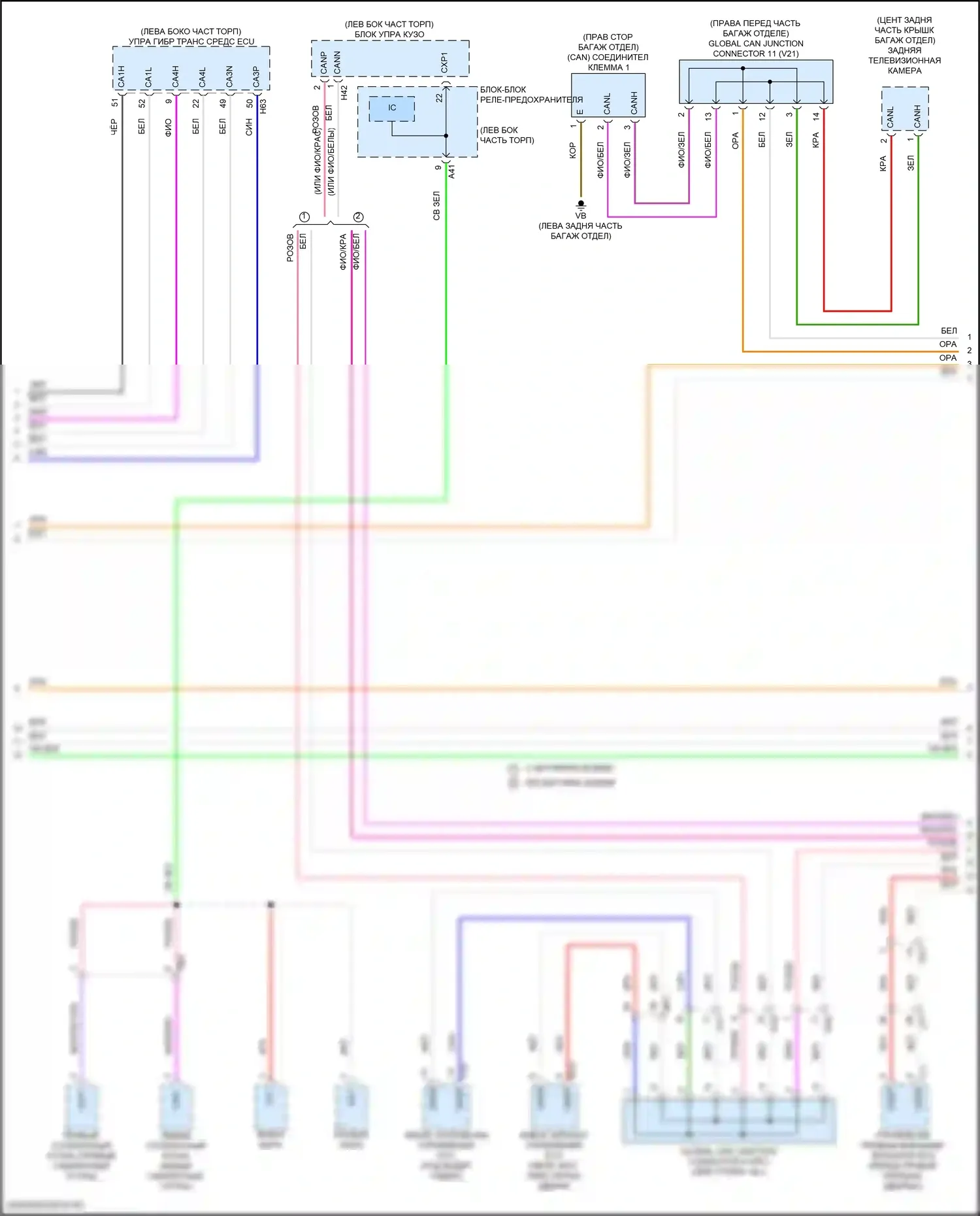 Camry Toyota XV80 (2024-2024): Can шина электросхема (5 из 7) 