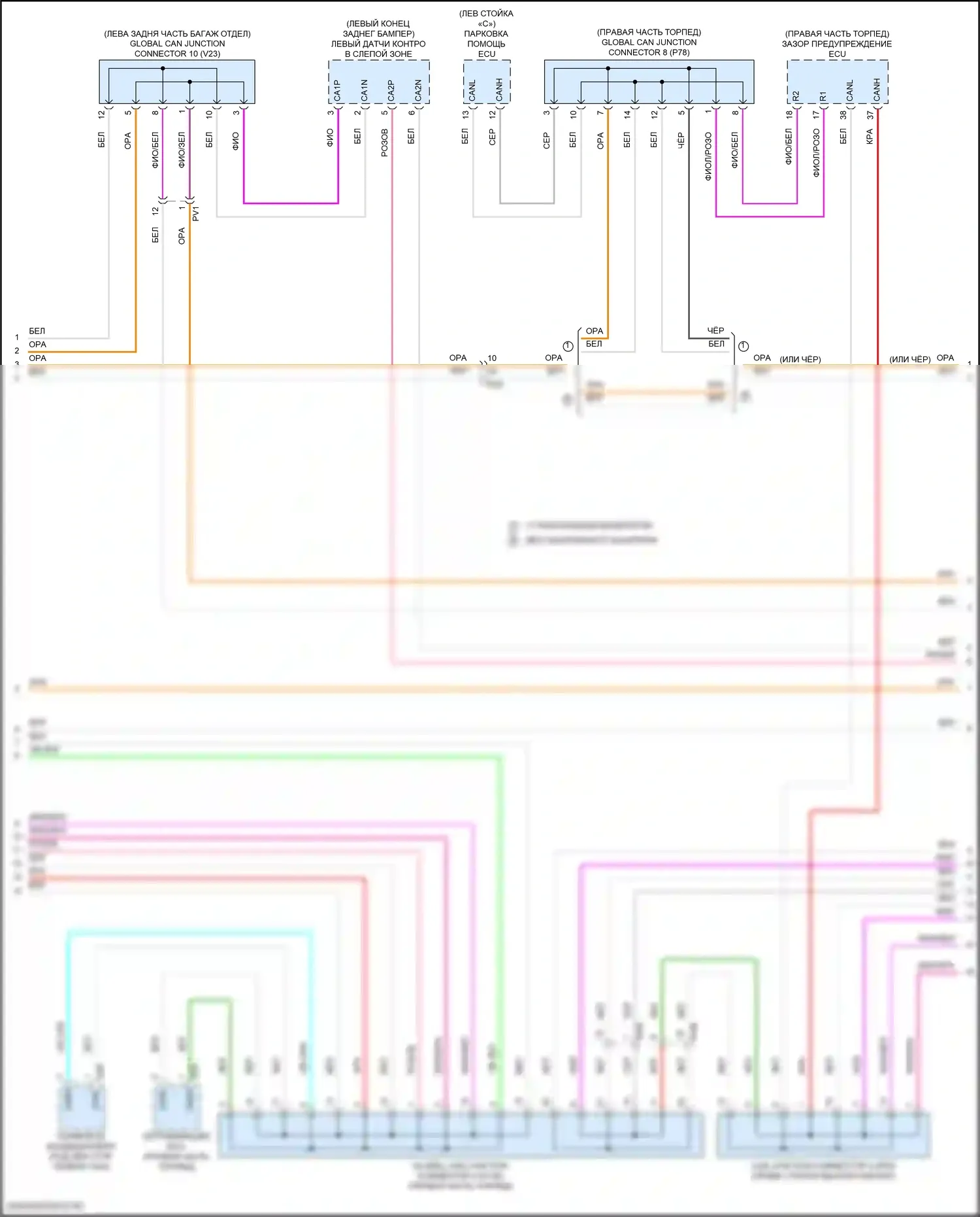 Camry Toyota XV80 (2024-2024): Can шина электросхема (6 из 7) 
