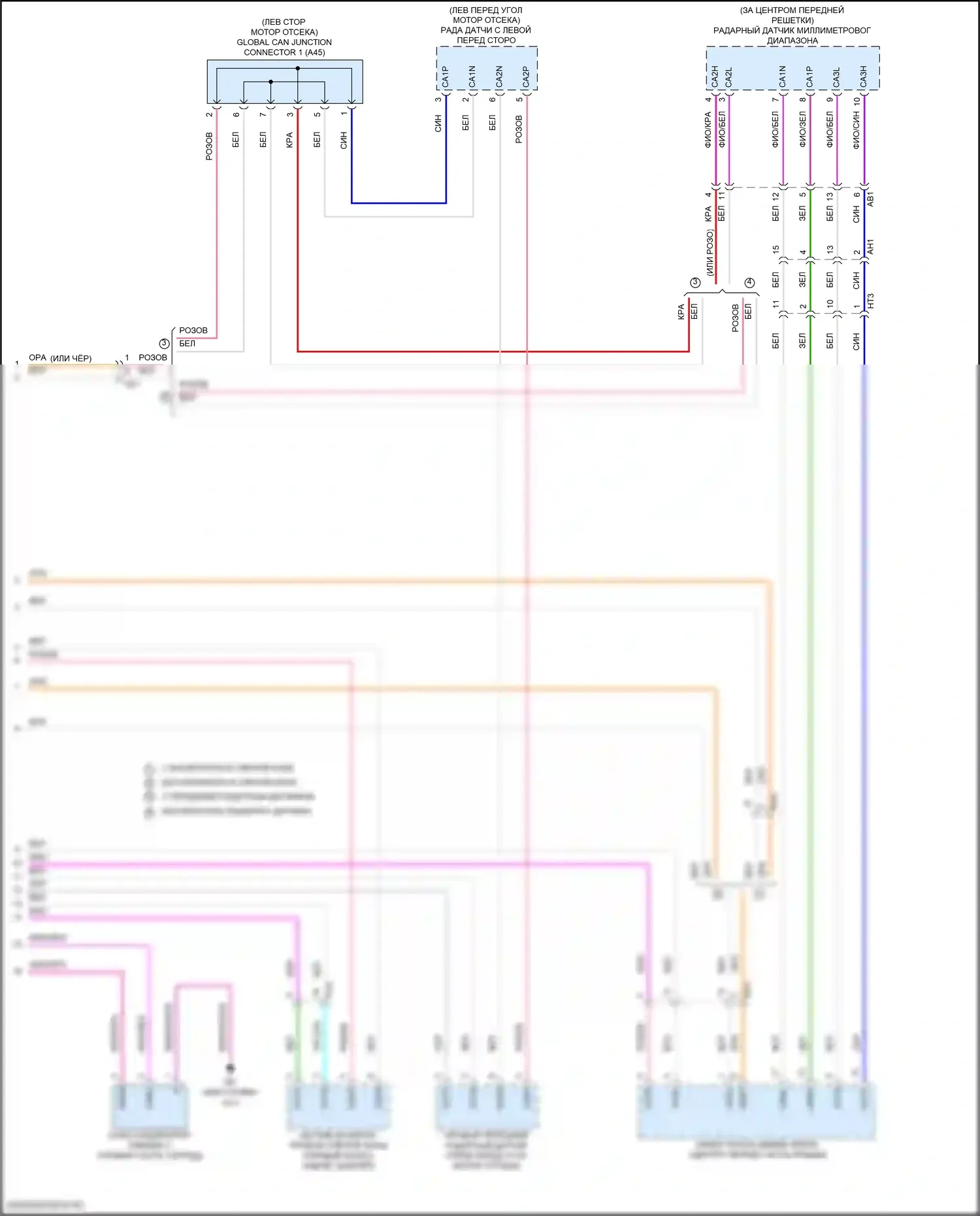 Camry Toyota XV80 (2024-2024): Can шина электросхема (7 из 7) 