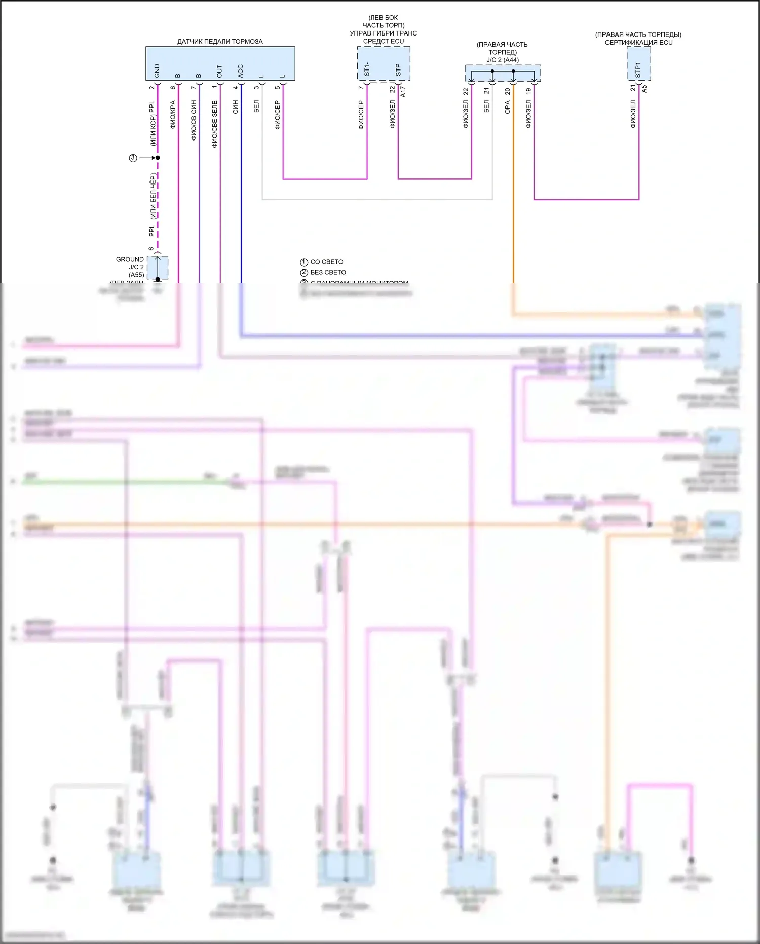 Camry Toyota XV80 (2024-2024): Электросхема фар и фонарей (4 из 4) 
