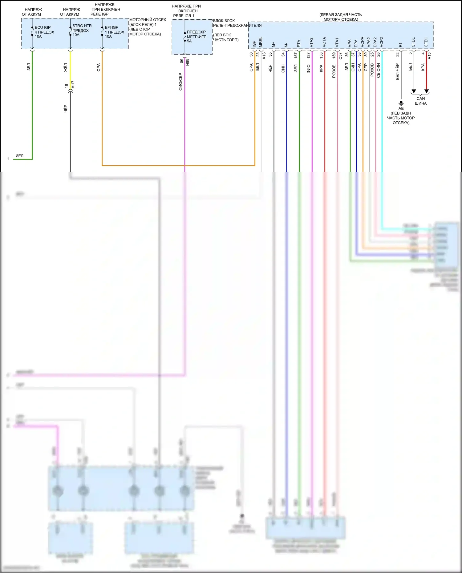 Camry Toyota XV80 (2024-2024): Электросхема круиз-контроля (2 из 2) 