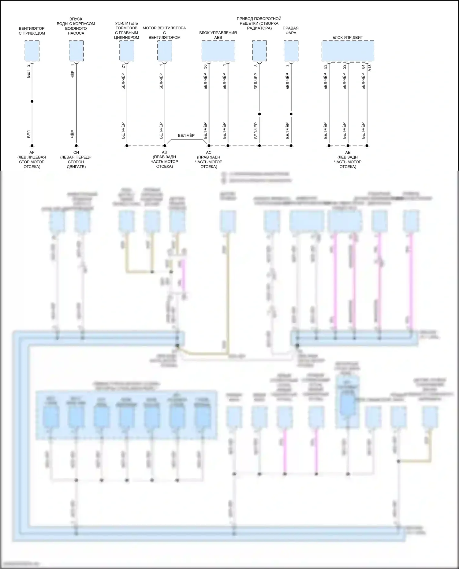 Camry Toyota XV80 (2024-2024): Электросхема точек подключения масс (3 из 5) 