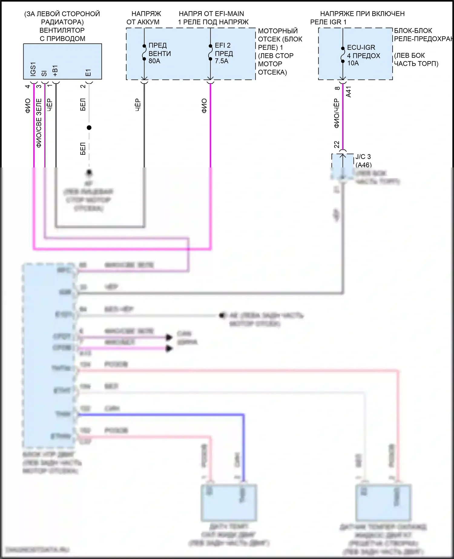 Camry Toyota XV80 (2024-2024): Электросхема вентилятора охлаждения 