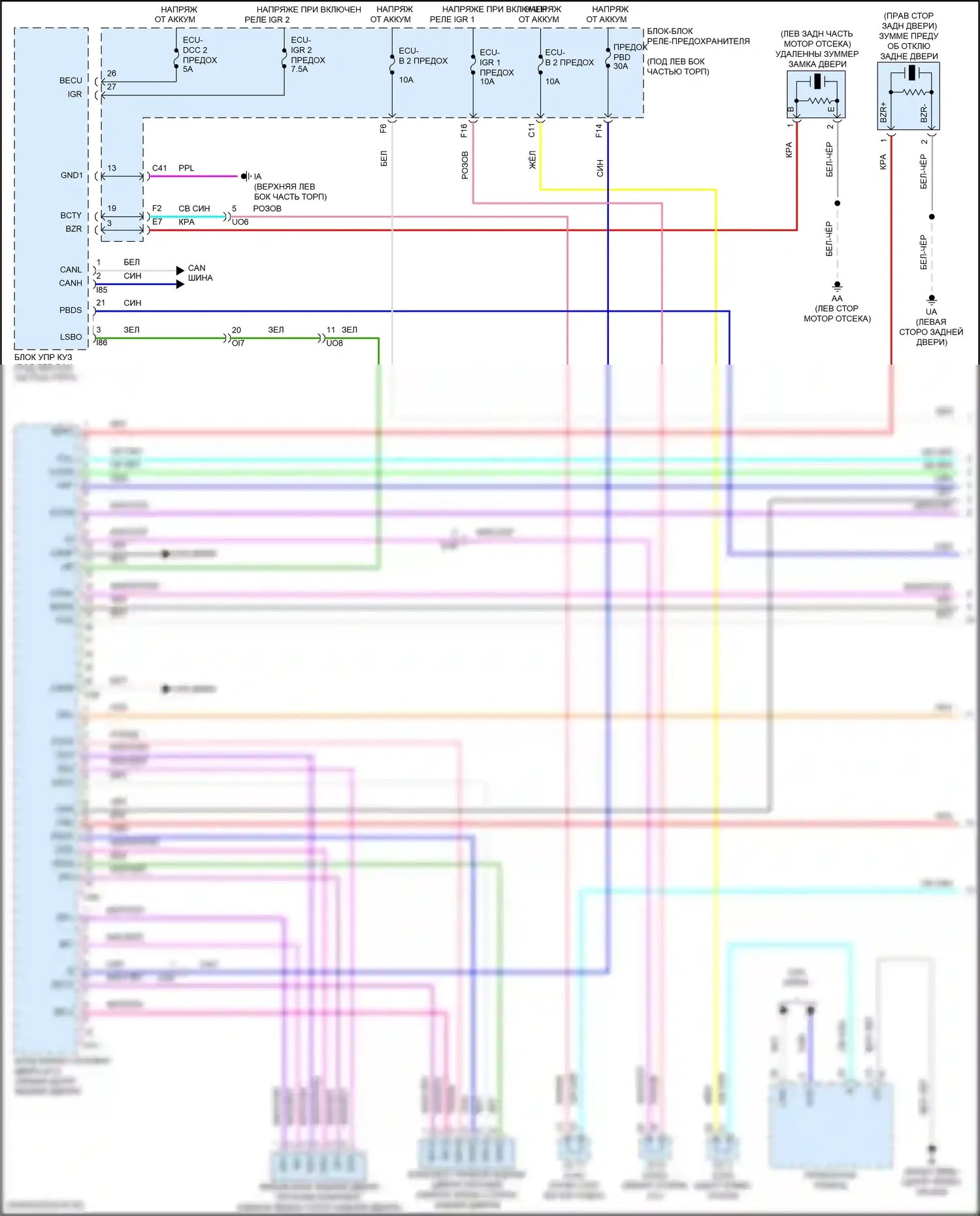 Corolla Cross Toyota I (2020-2024): Электросхема электромеханического замка задней двери с задней дверью (1 из 2) 