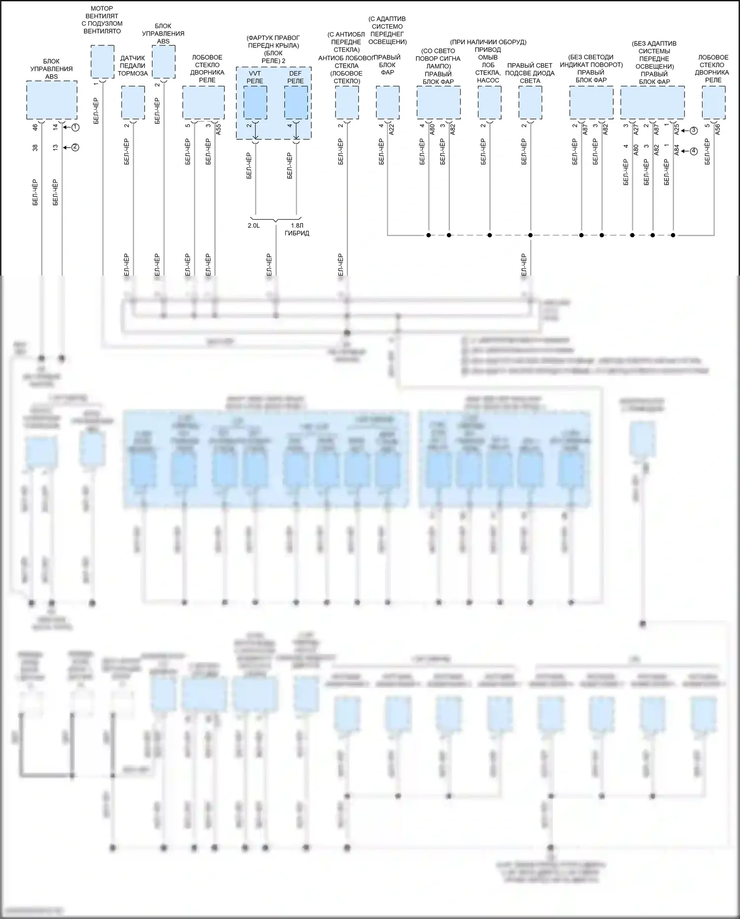 Corolla Toyota XII (2018-2024): Электросхема разводки массы, седан tmc сделано (2 из 6) 