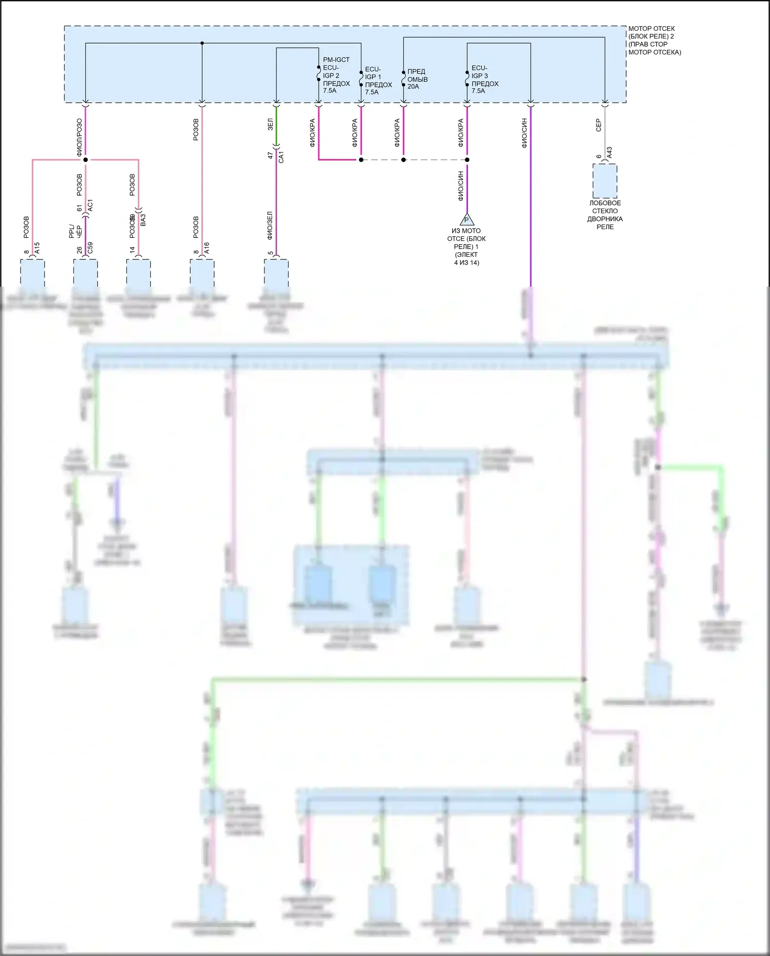 Grand Highlander Toyota I (2023-2024): Электросхема блока предохранителей реле (6 из 14) 