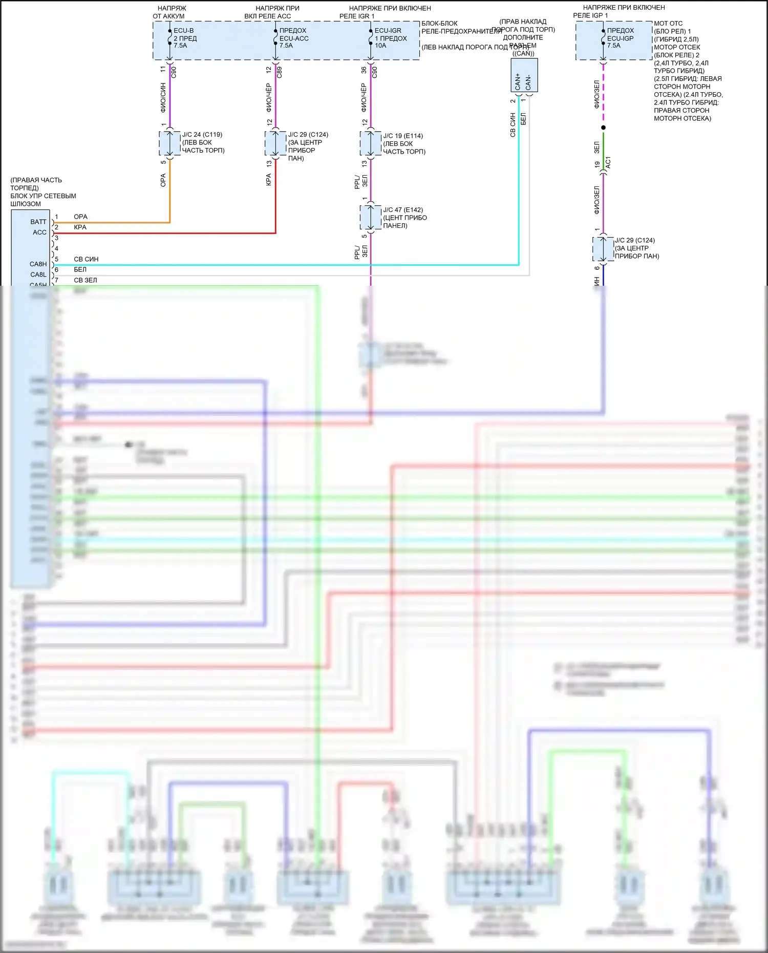 Grand Highlander Toyota I (2023-2024): Can шина электросхема (2 из 8) 