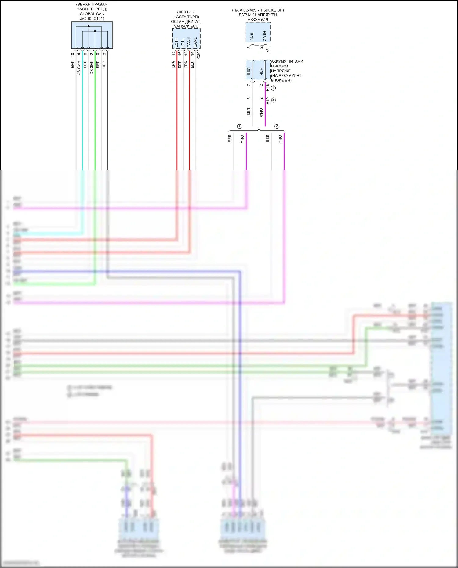Grand Highlander Toyota I (2023-2024): Can шина электросхема (8 из 8) 