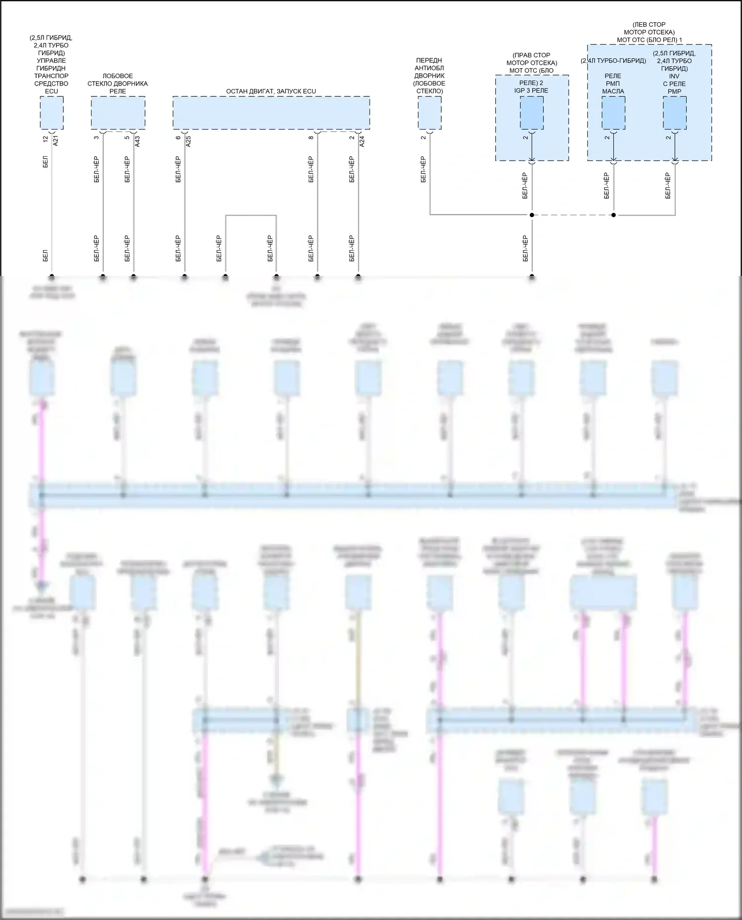 Grand Highlander Toyota I (2023-2024): Электросхема разводки массы (3 из 10) 
