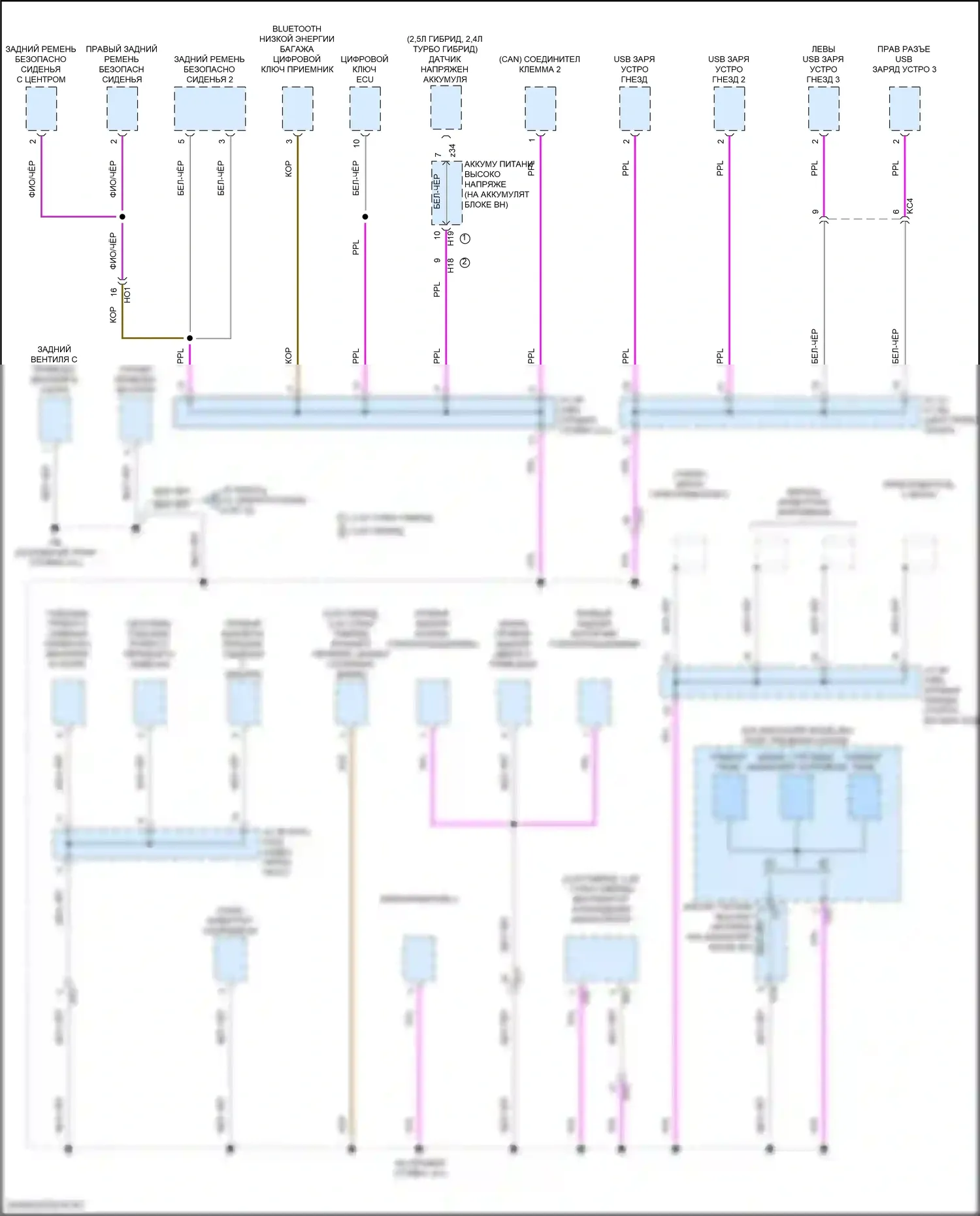 Grand Highlander Toyota I (2023-2024): Электросхема разводки массы (5 из 10) 