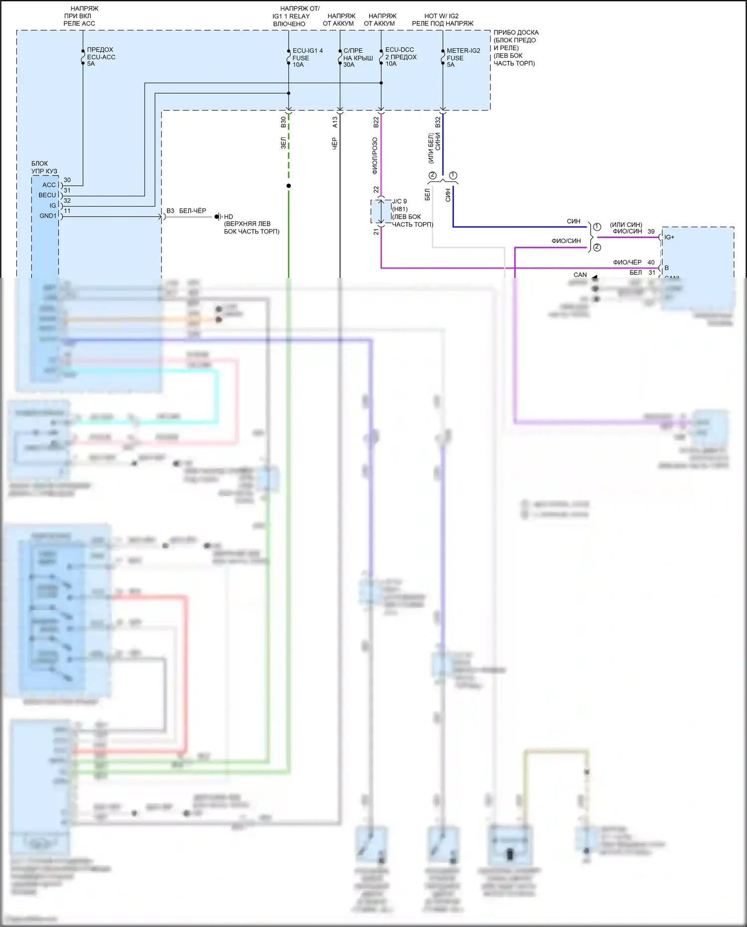 Highlander Toyota IV (2019-2024): Электросхема люка 