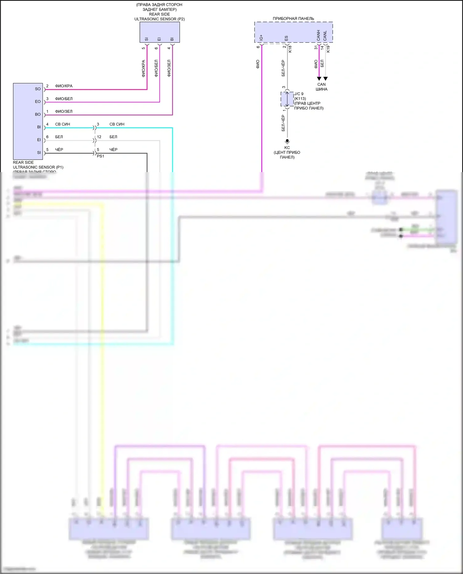 Prius Toyota V (2023-2024): Электросхема заднего гидролокатора (2 из 2) 