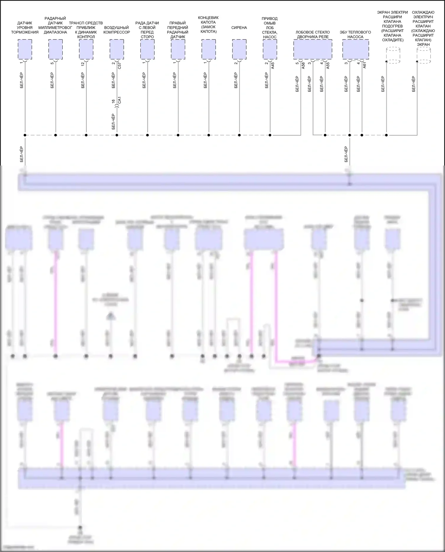 Prius Toyota V (2023-2024): Электросхема разводки массы (2 из 6) 
