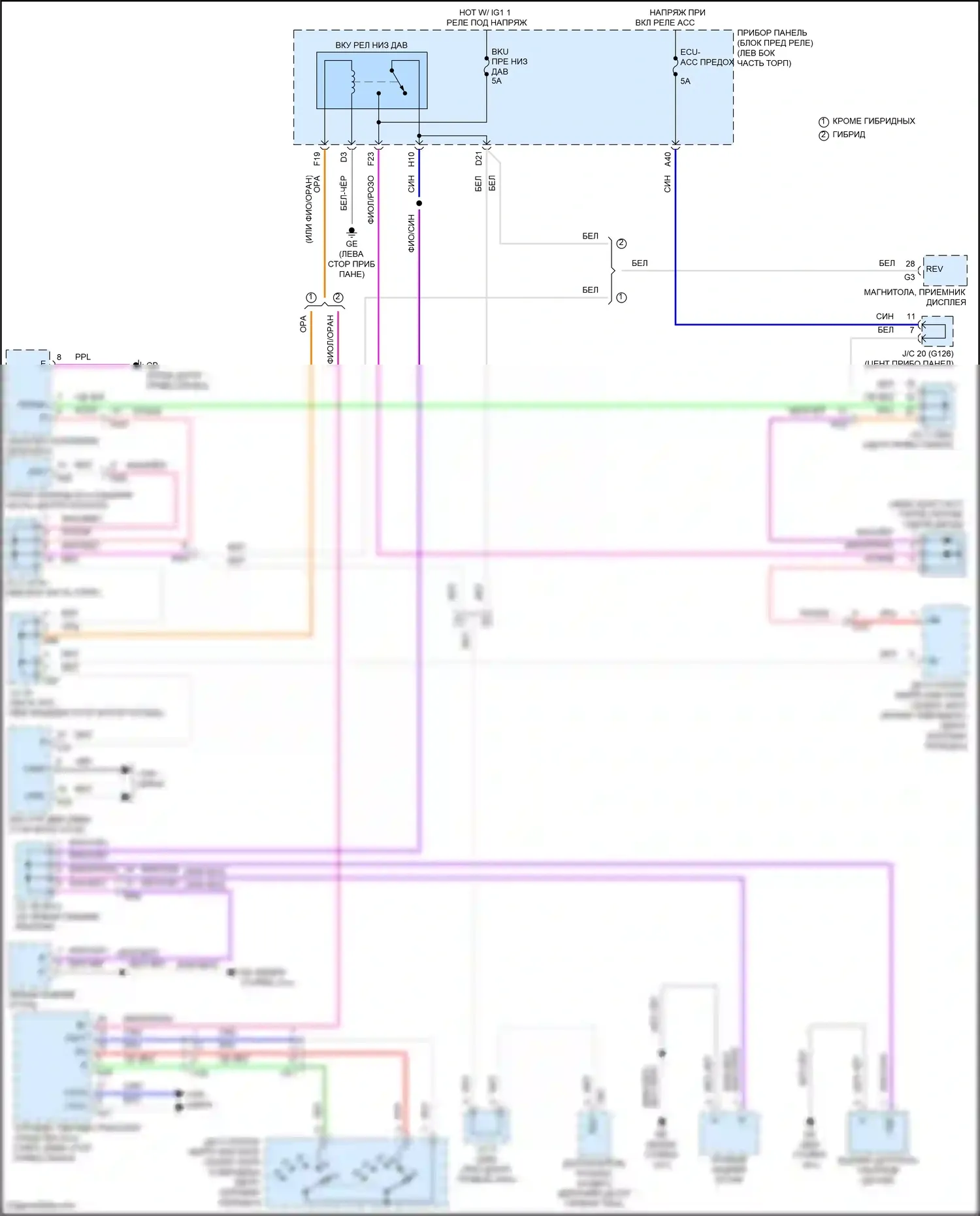 RAV4 Toyota V (2018-2024): Электросхема фонарей заднего хода 