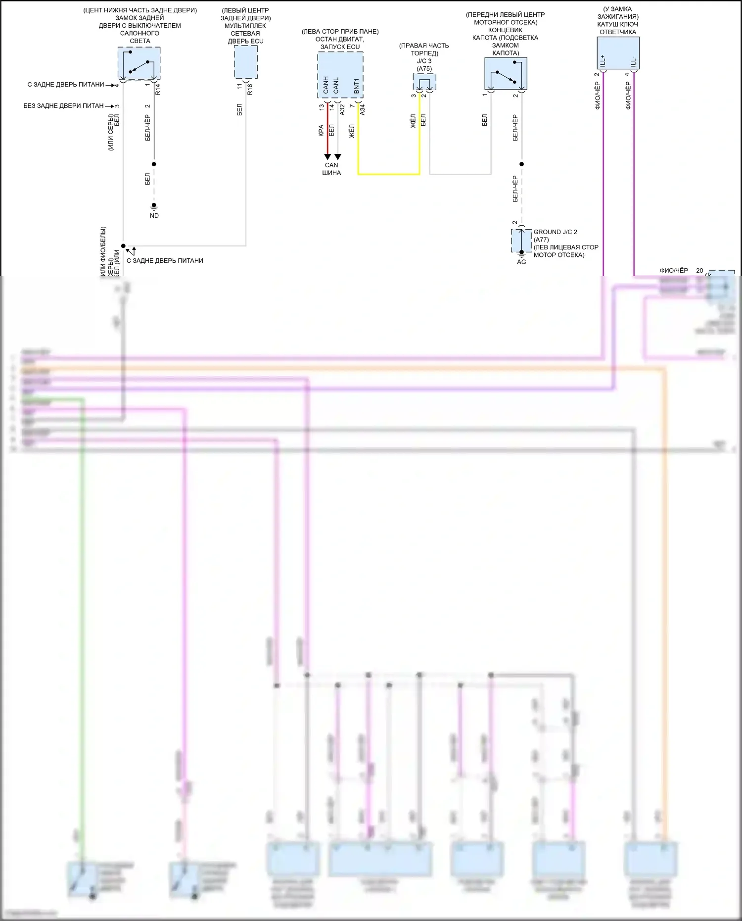 RAV4 Toyota V (2018-2024): Электросхема освещения салона (2 из 3) 